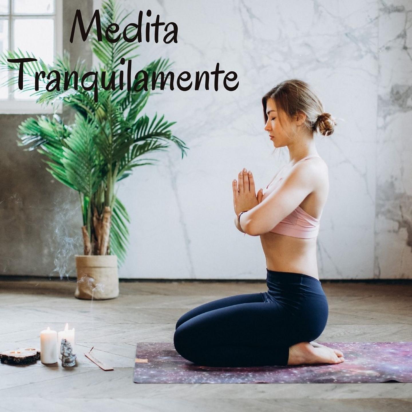 Постер альбома Medita Tranquilamente