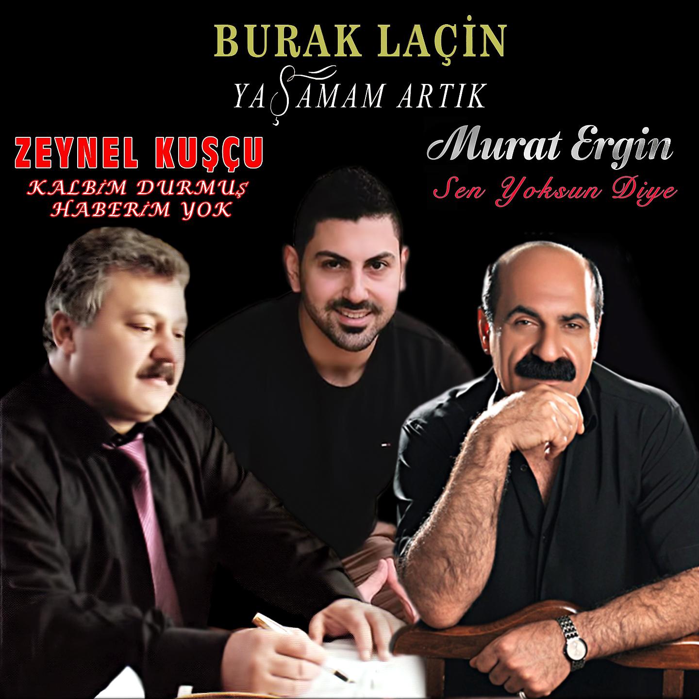 Постер альбома Yaşamam Artık / Sen Yoksun Diye / Kalbim Durmuş Haberim Yok
