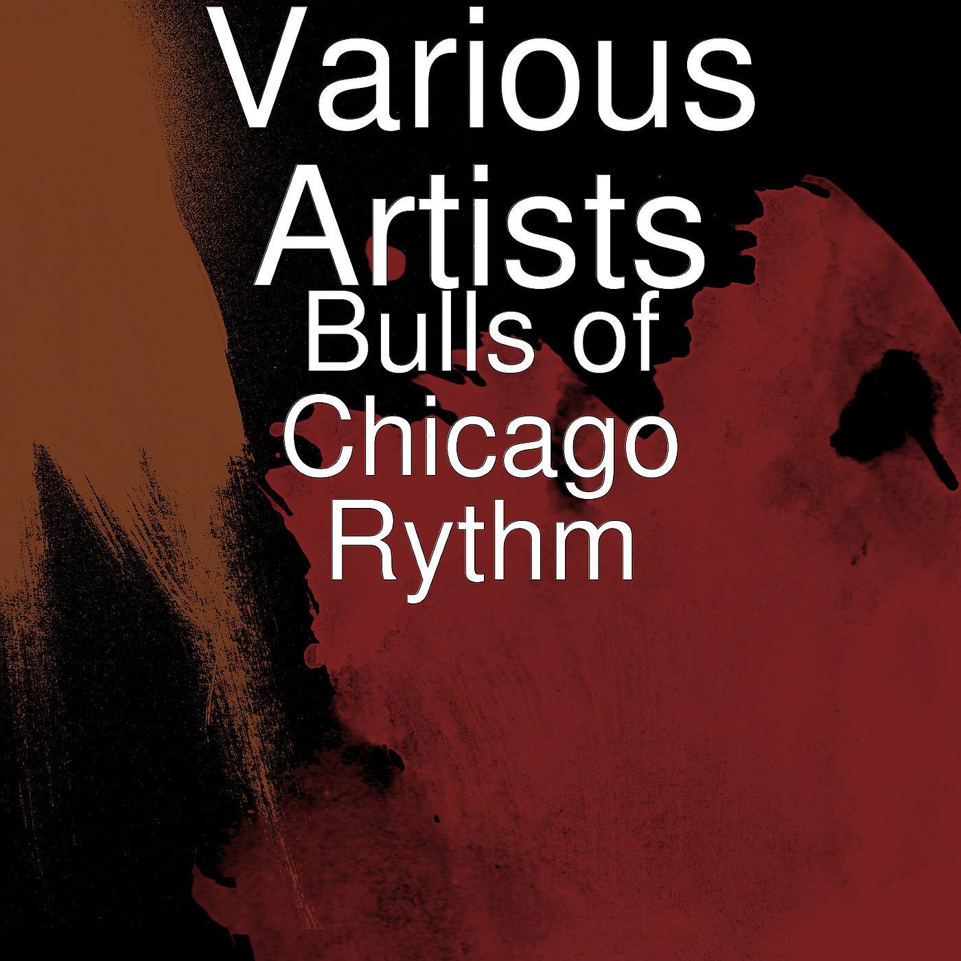 Постер альбома Bulls of Chicago Rythm