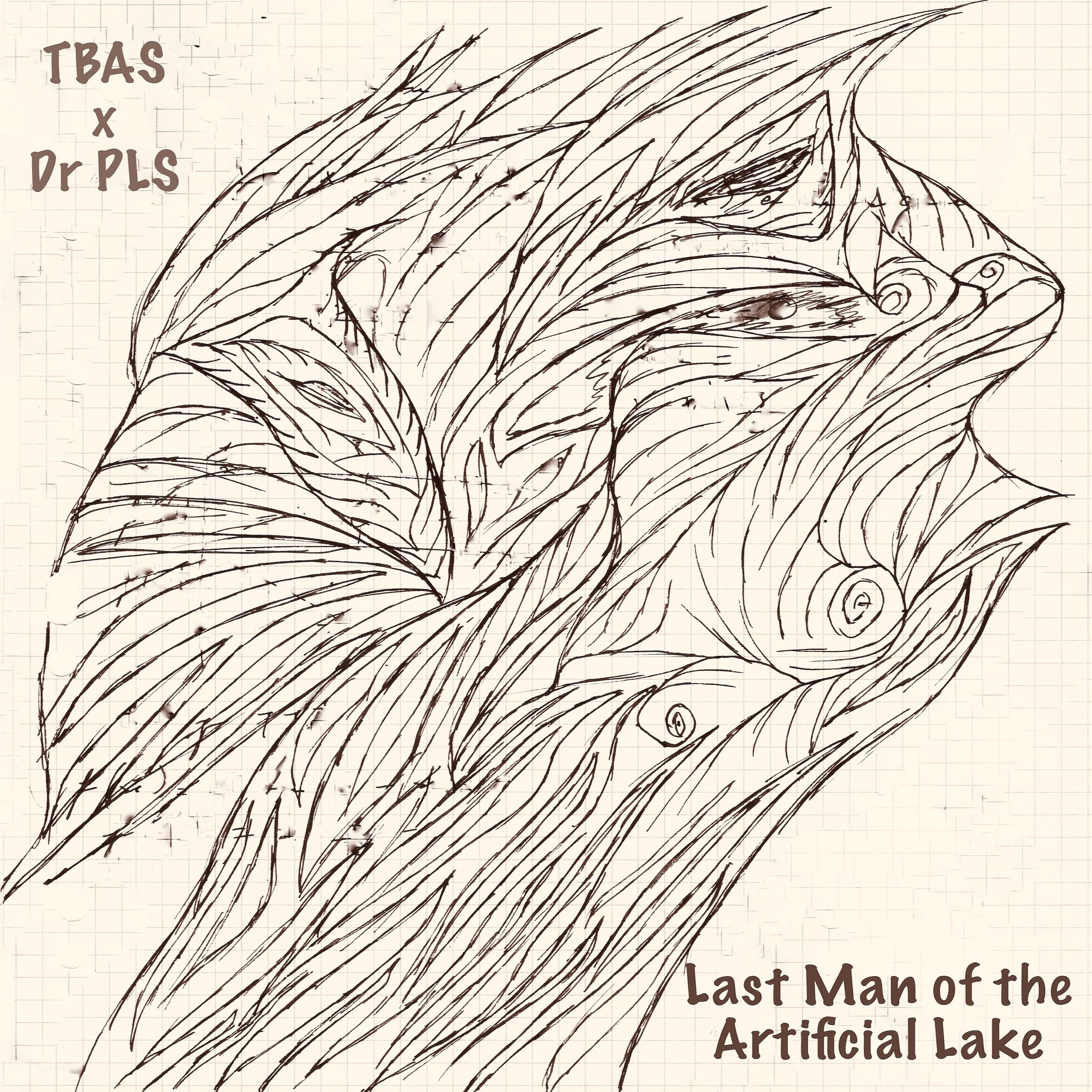 Постер альбома Last Man of the Artificial Lake
