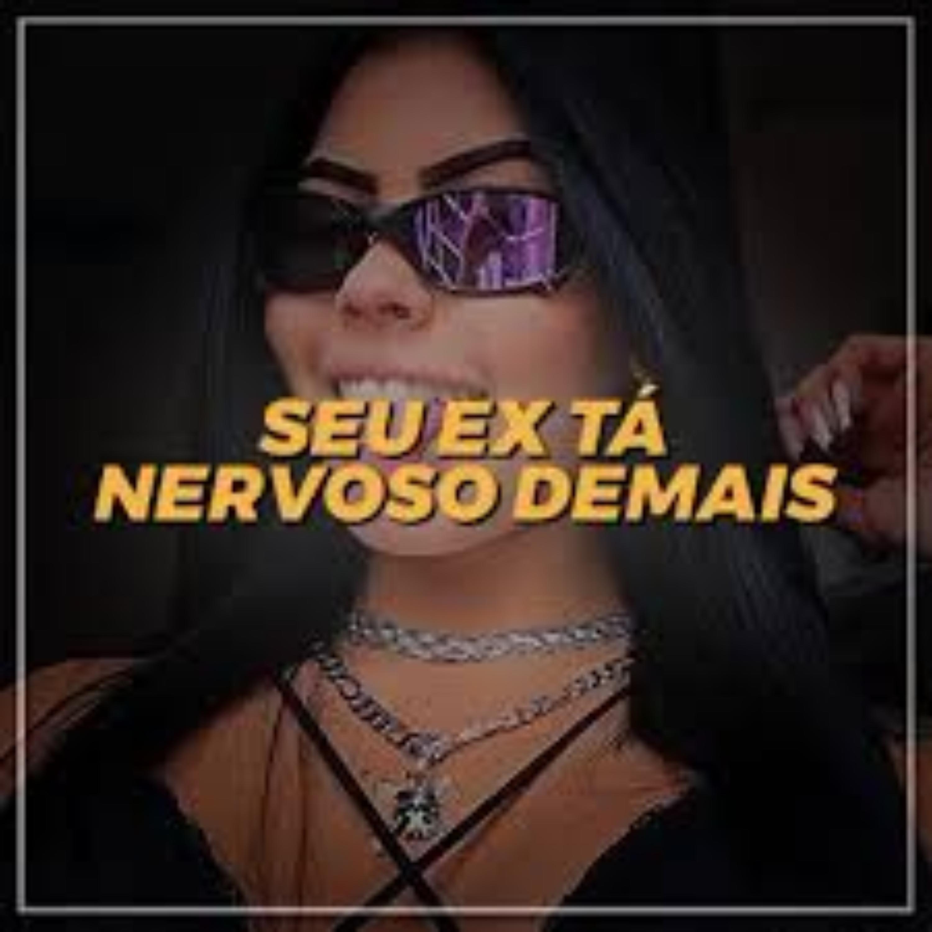 Постер альбома Seu Ex Ta Nervoso Demais