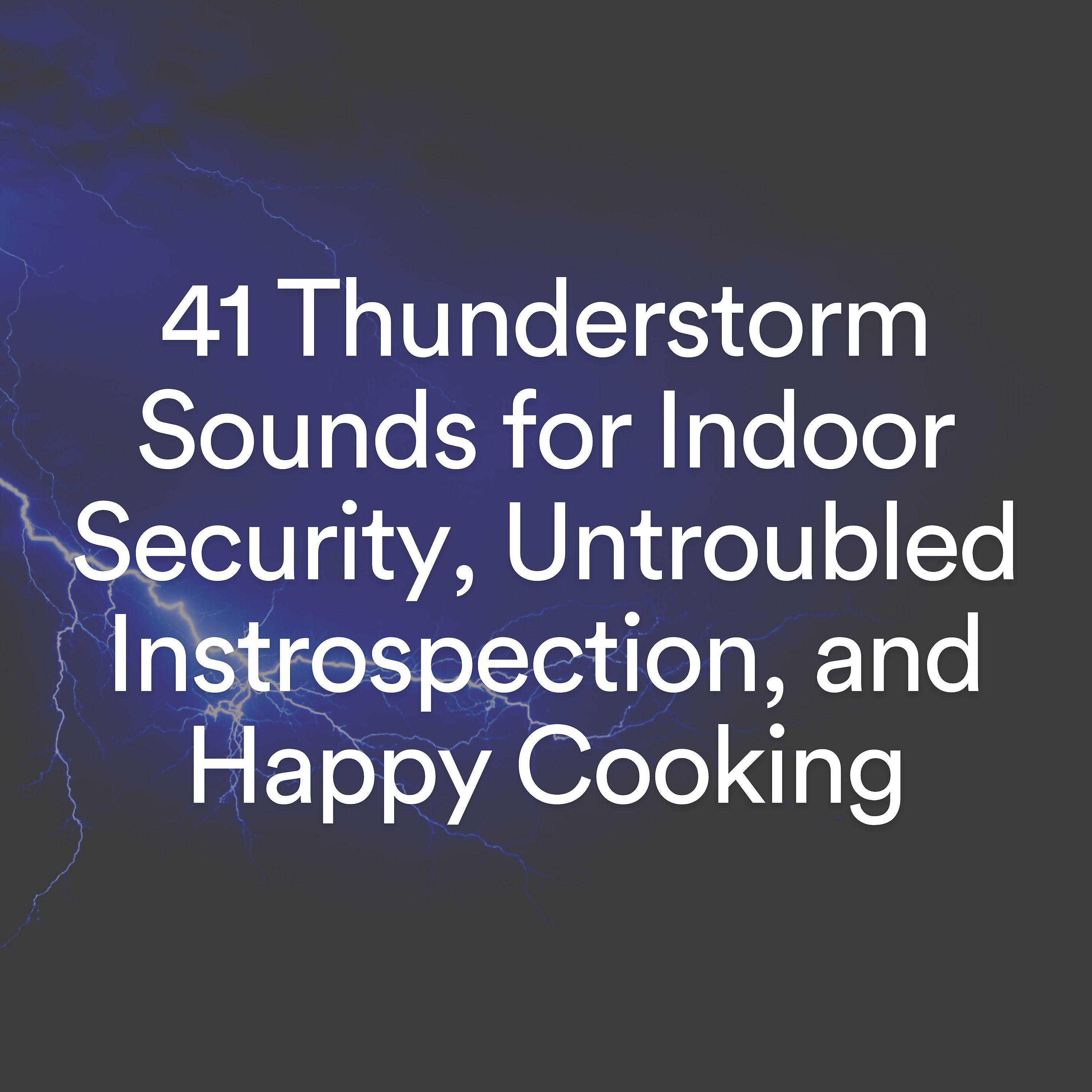 Постер альбома 41 Thunderstorm Sounds for Indoor Security, Untroubled Instrospection, and Happy Cooking