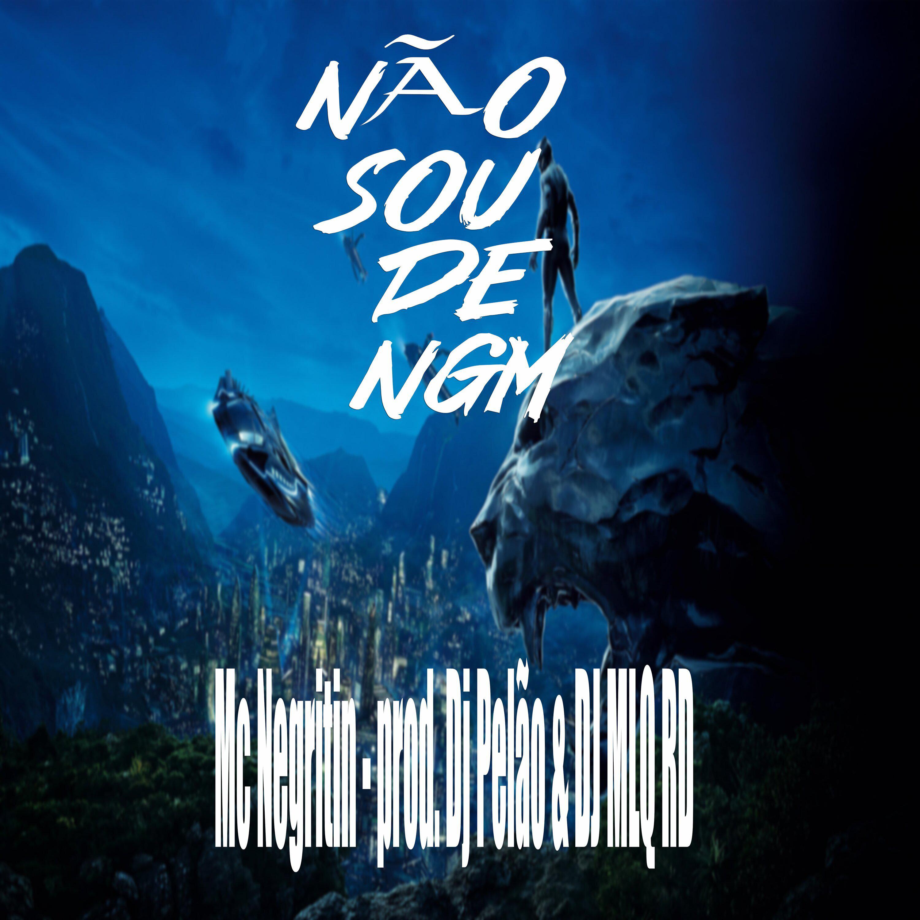 Постер альбома Não Sou de Ngm