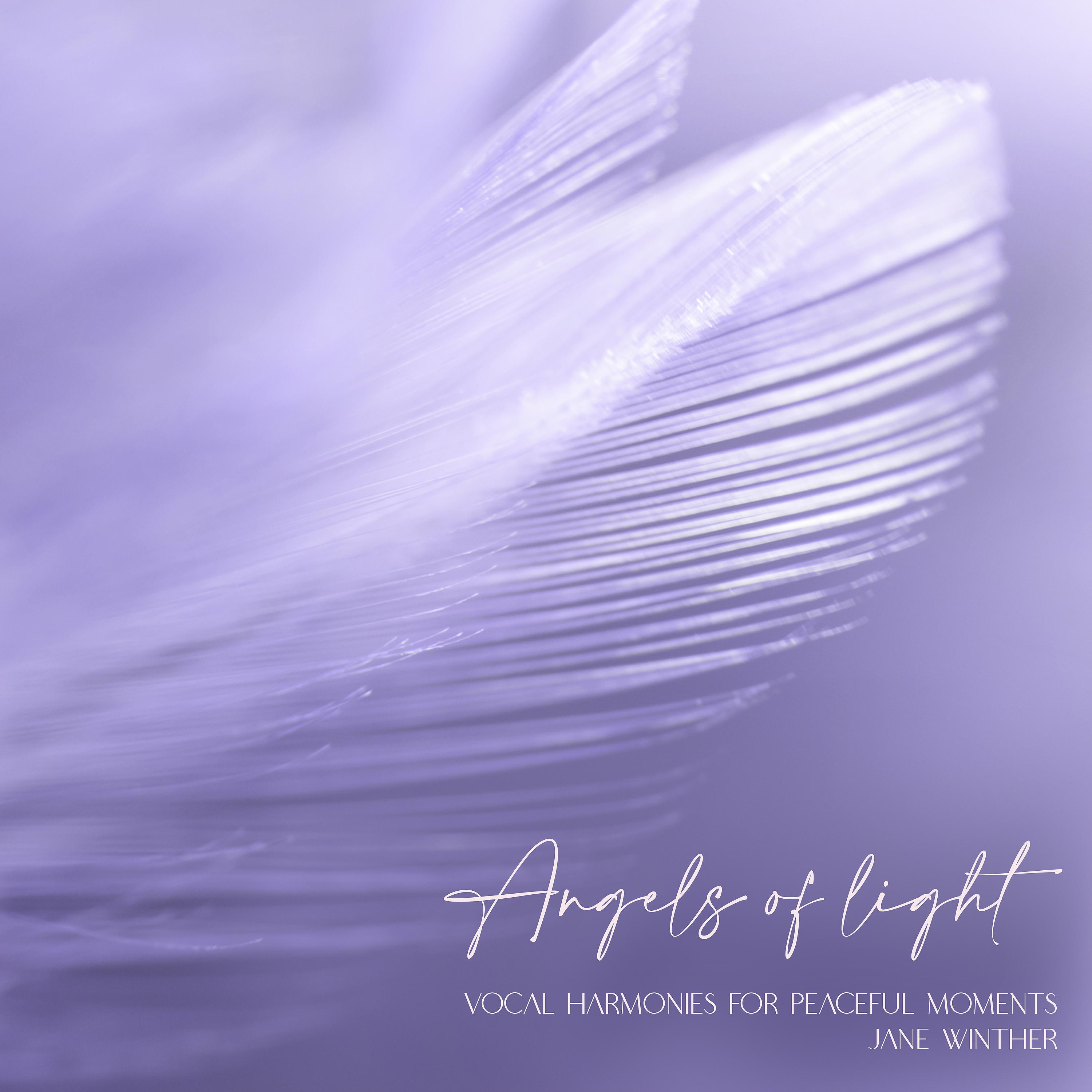 Постер альбома Angels of Light
