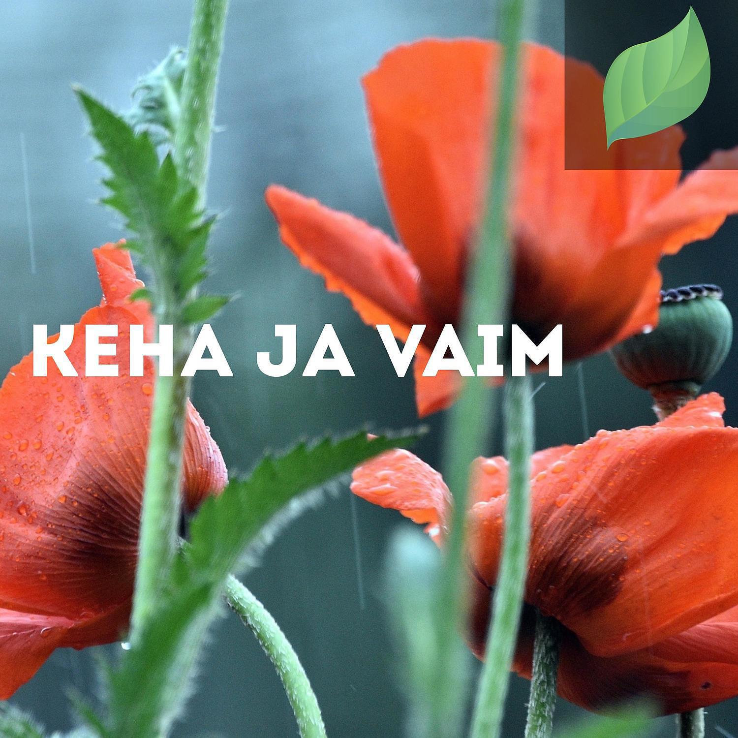 Постер альбома Keha ja Vaim