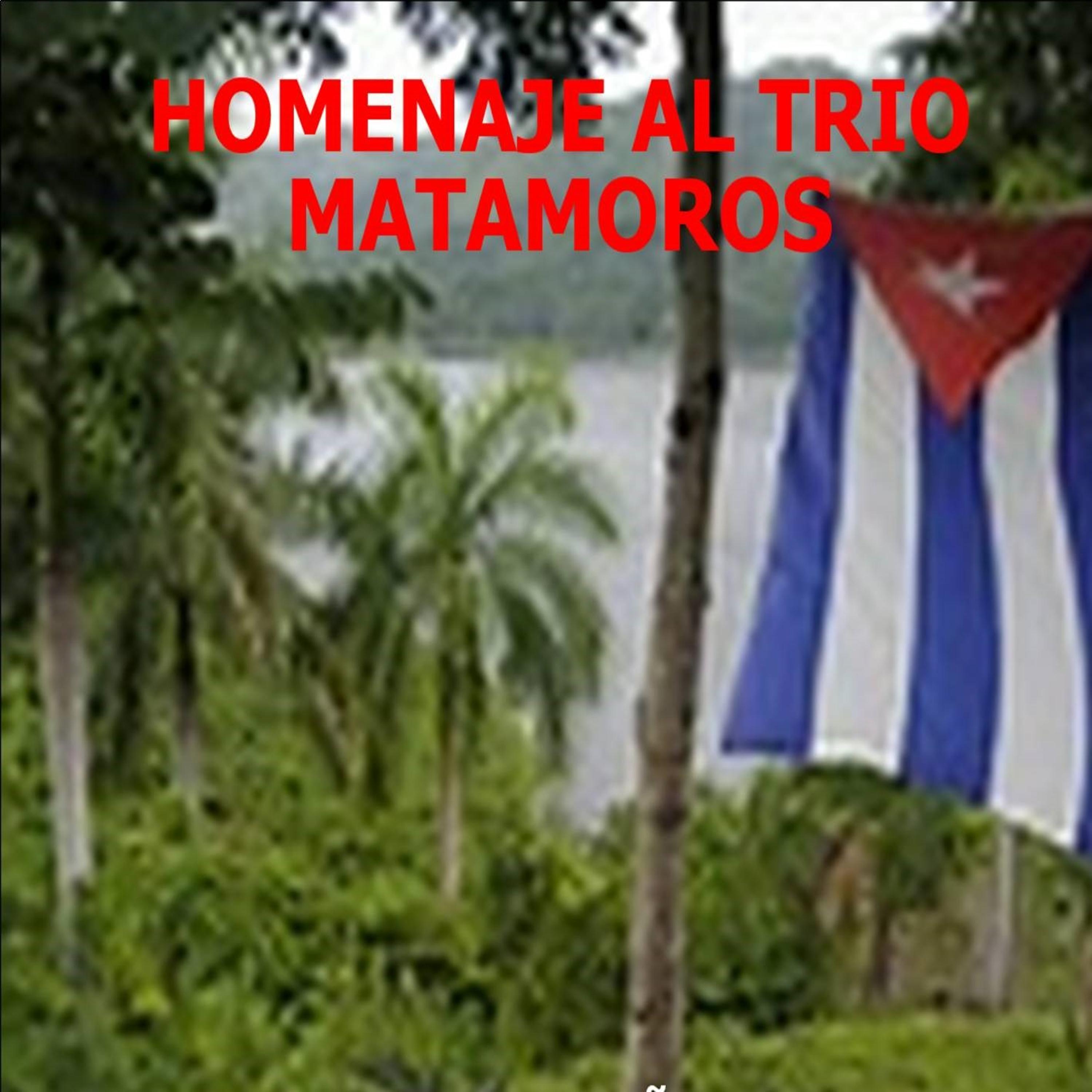 Постер альбома Homenaje al Trío Matamoros