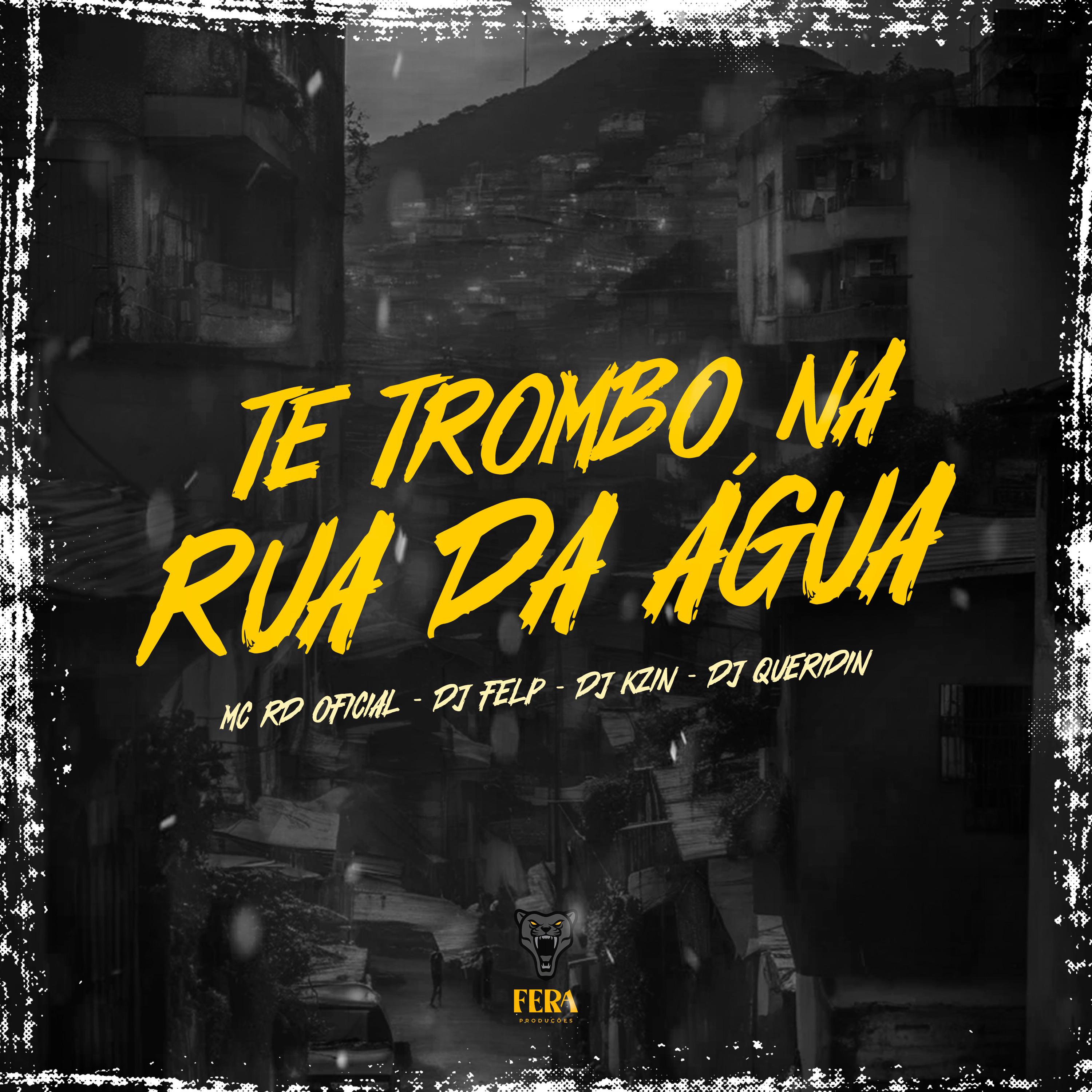 Постер альбома Te Trombo na Rua da Água