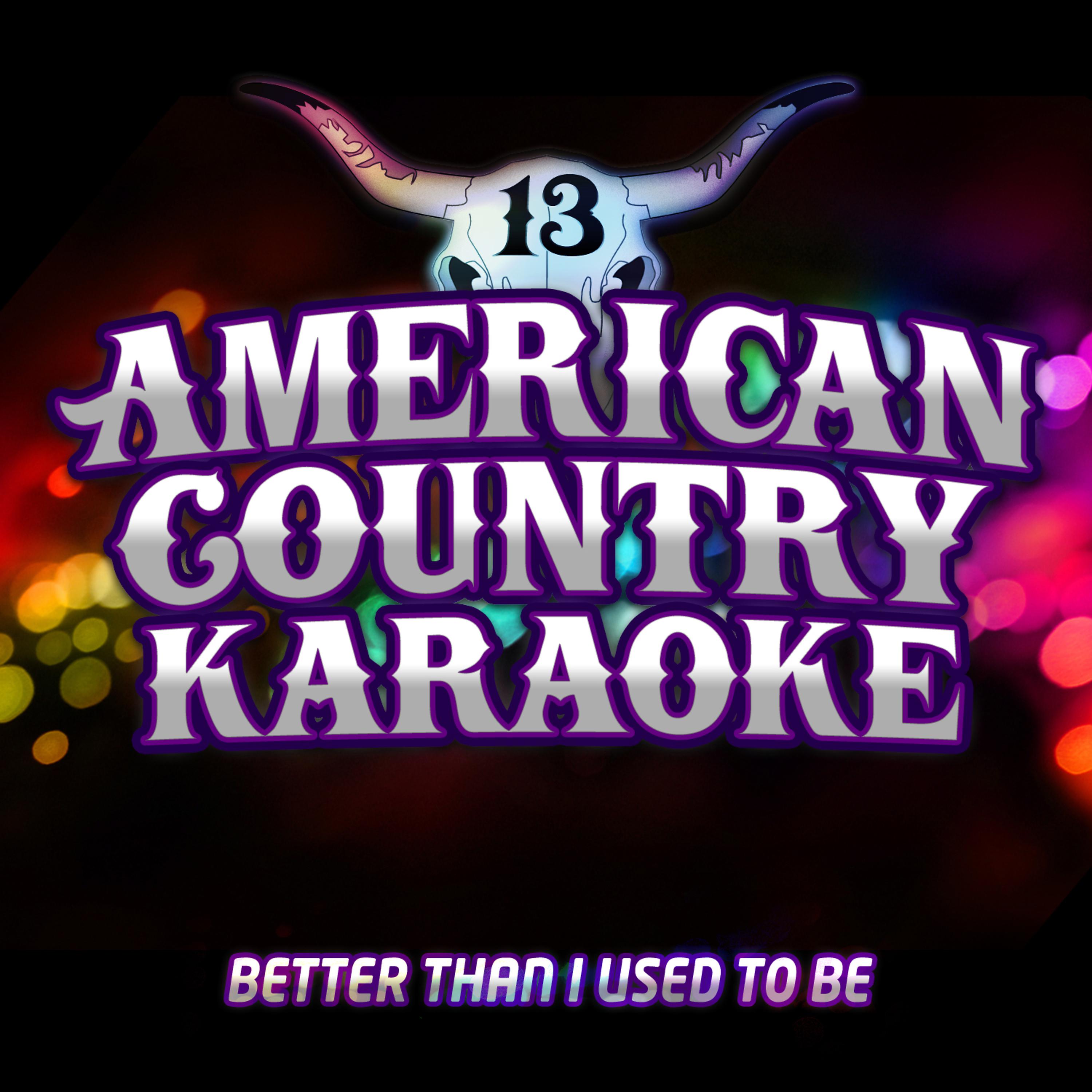 Постер альбома Better Than I Used to Be (Karaoke in the Style of Tim McGraw)