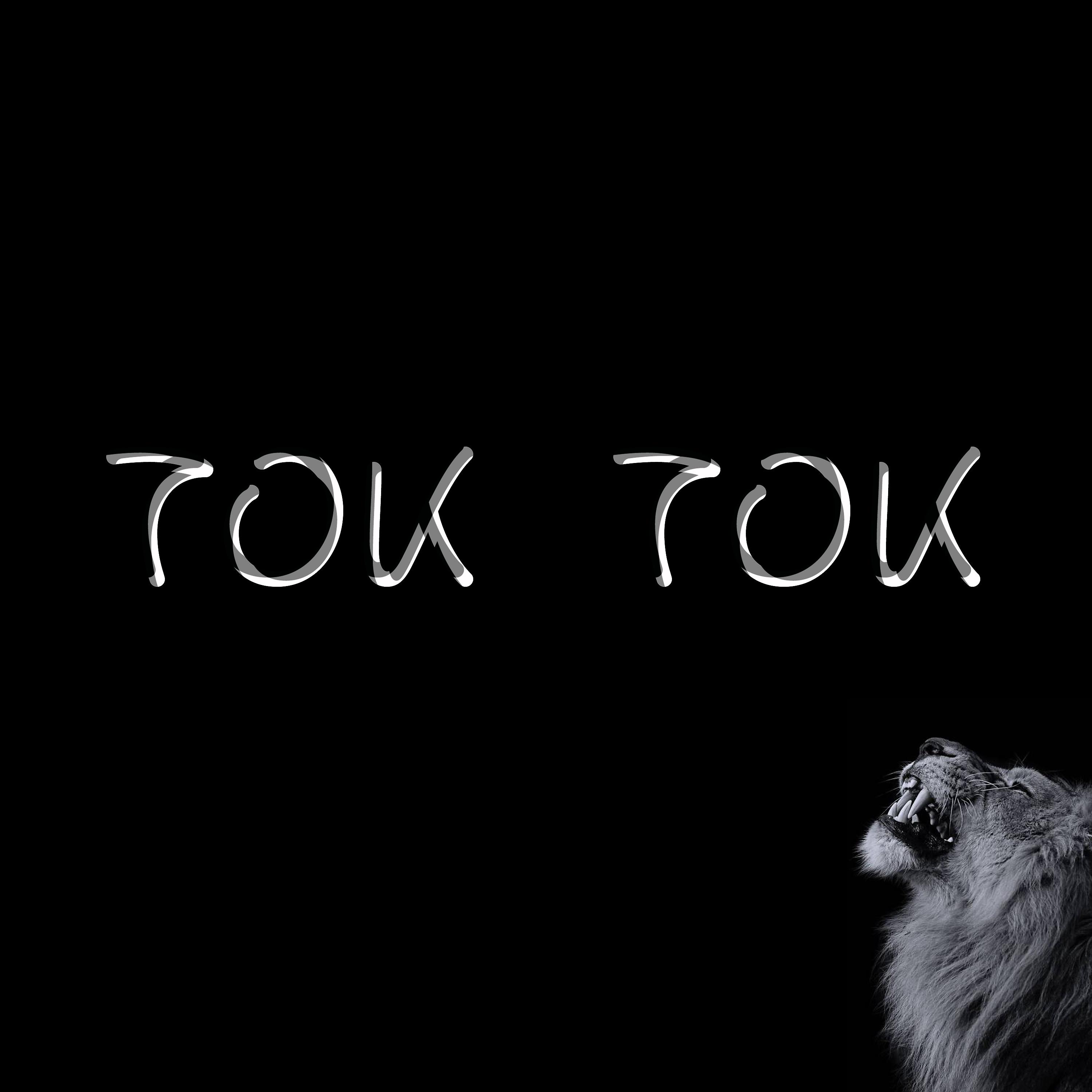 Постер альбома Tok Tok