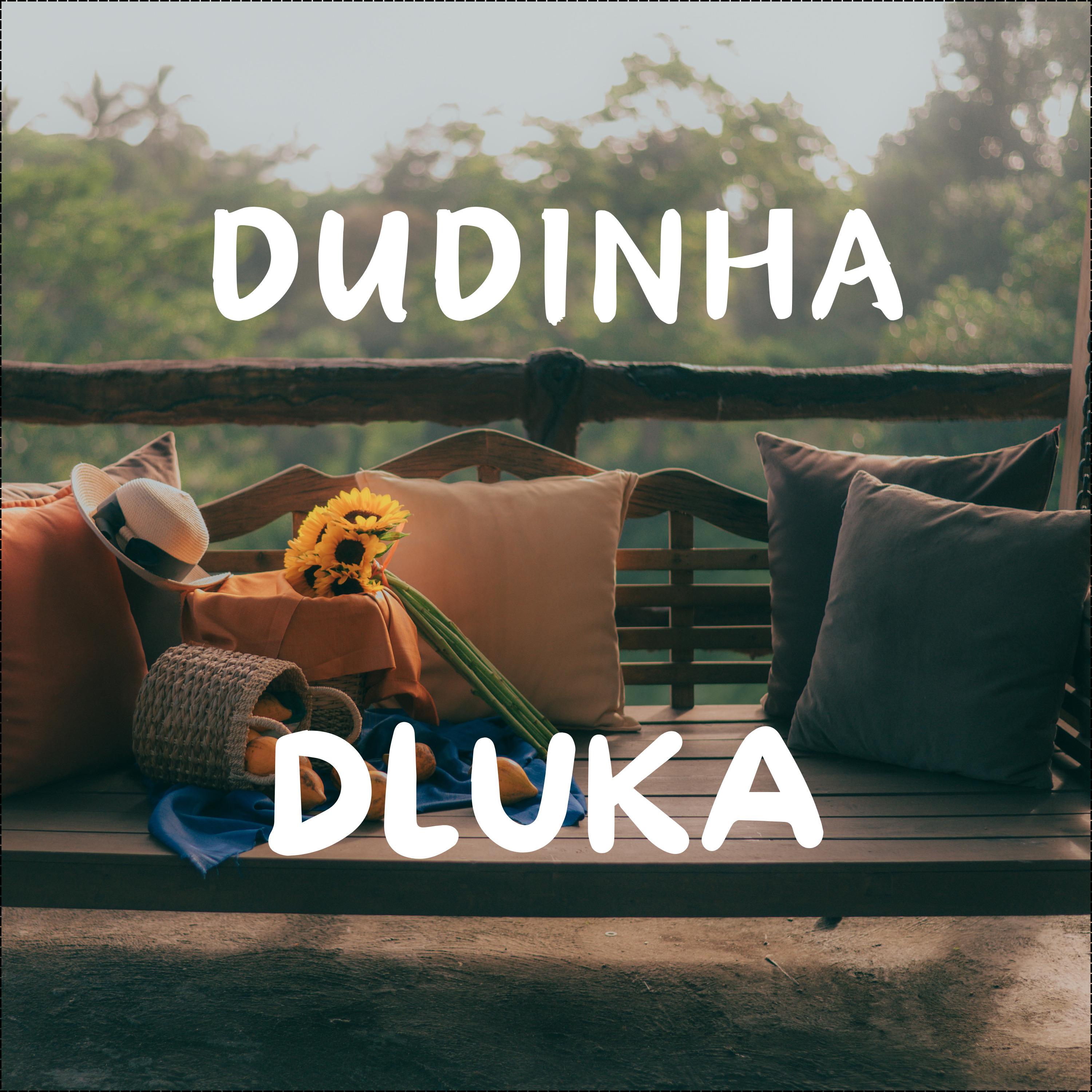 Постер альбома Dudinha