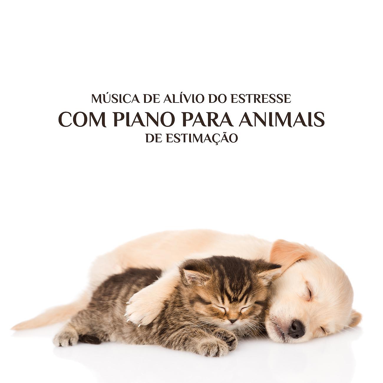 Постер альбома Música de Alívio do Estresse com Piano para Animais de Estimação
