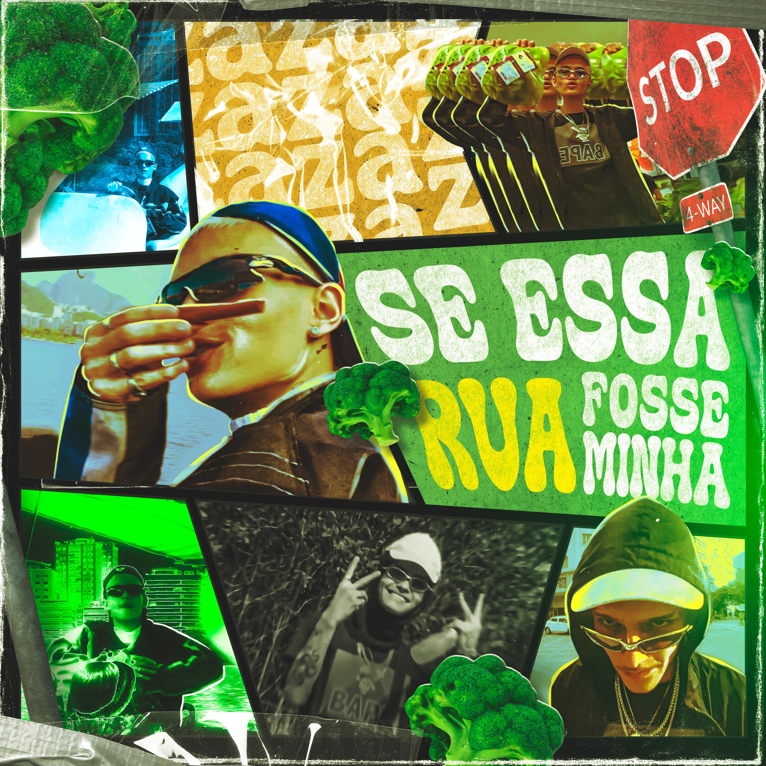 Постер альбома Se Essa Rua Fosse Minha