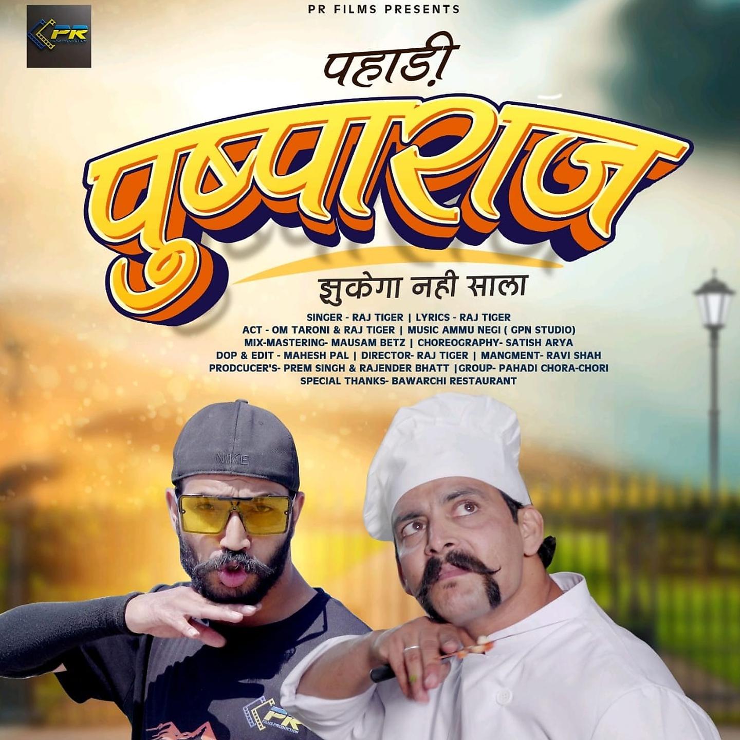 Постер альбома Pahadi Pushparaj