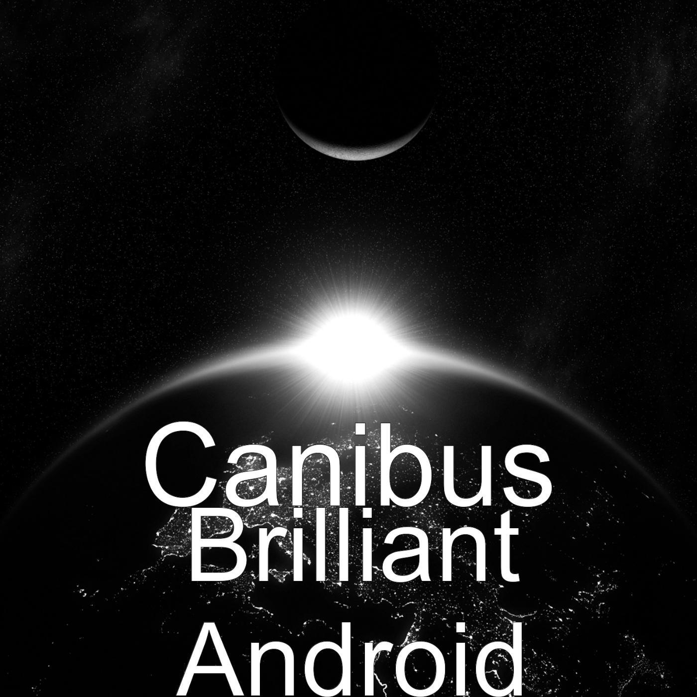 Постер альбома Brilliant Android