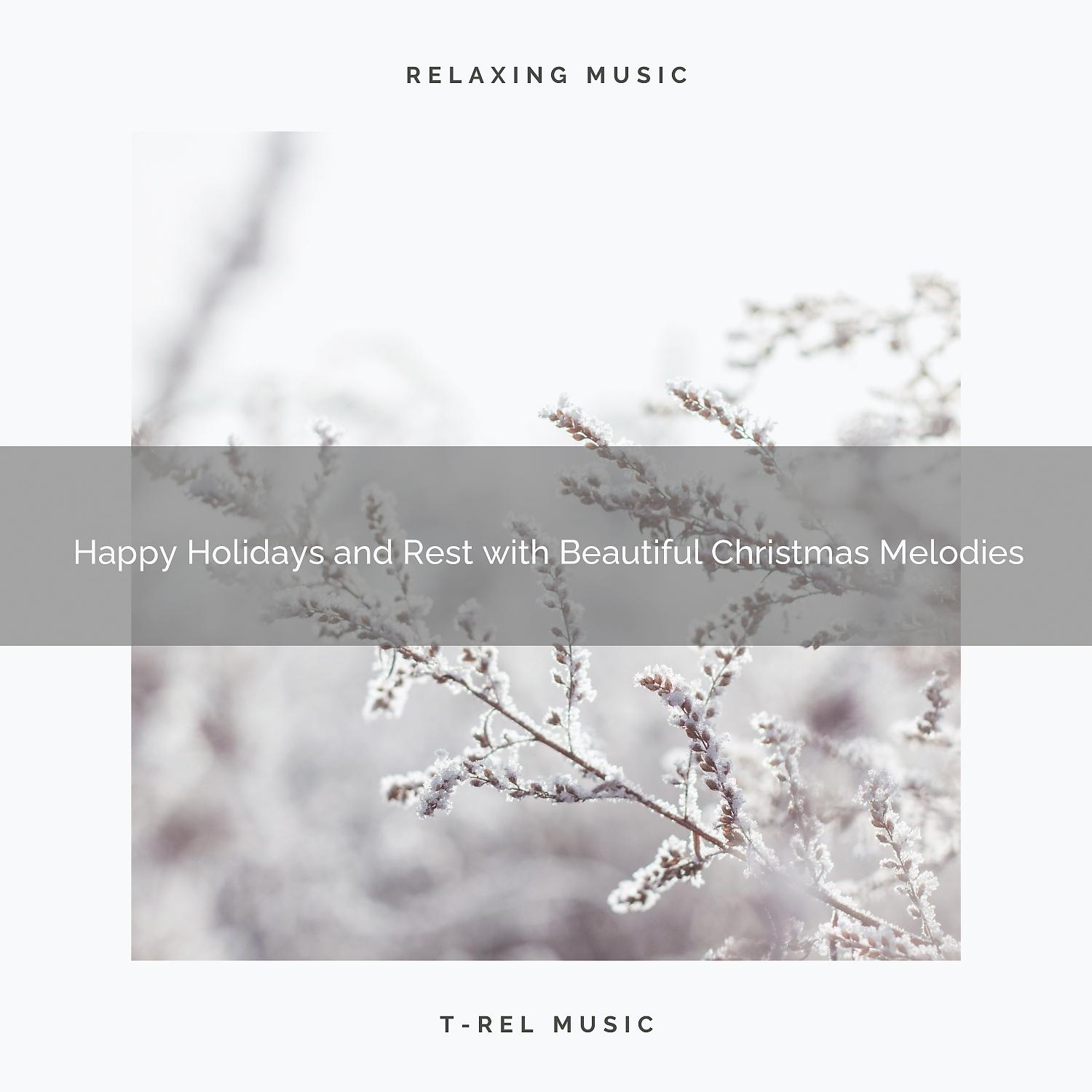 Постер альбома Happy Holidays and Rest with Beautiful Christmas Melodies