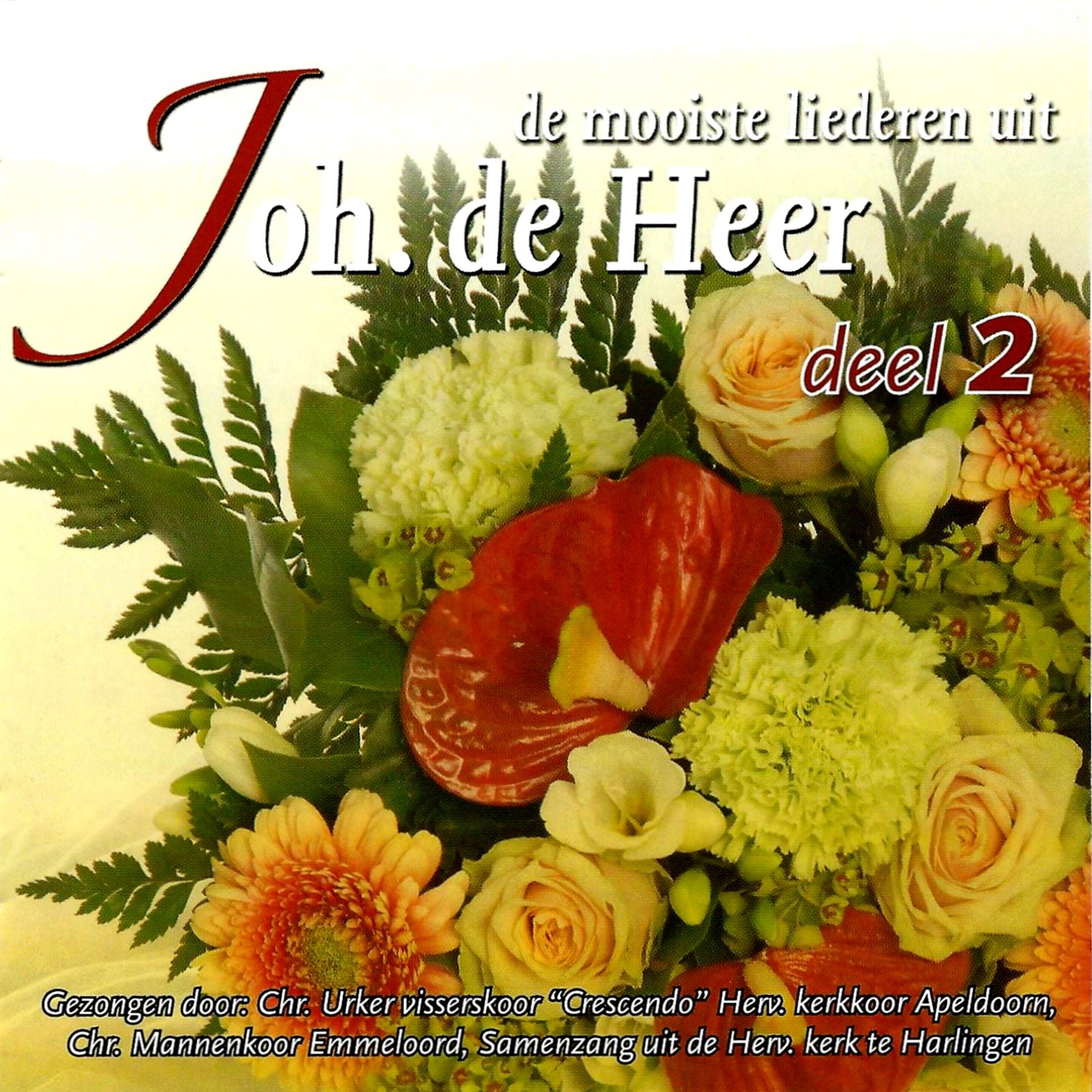 Постер альбома De Mooiste Liederen uit Joh. De Heer deel 2