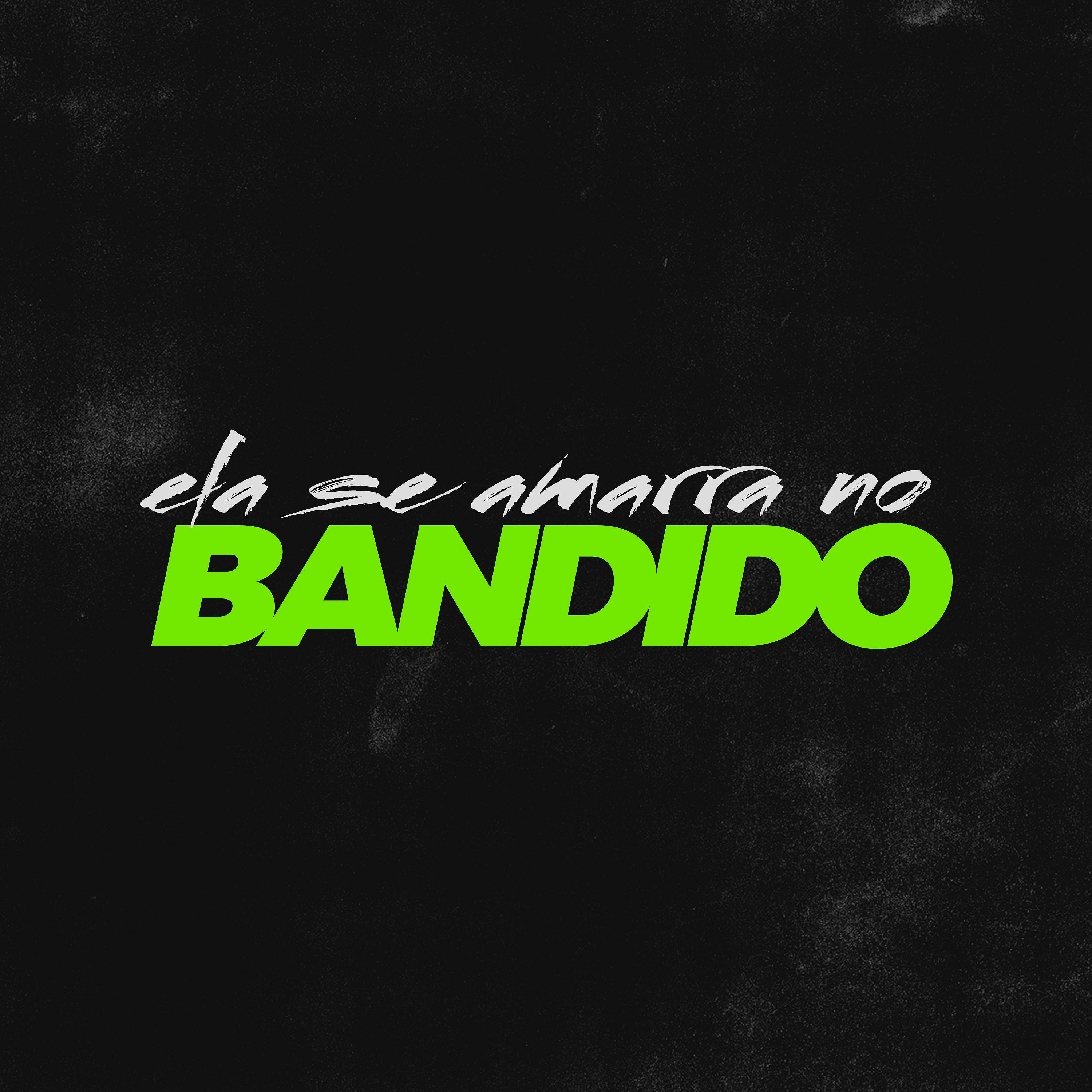 Постер альбома Ela Se Amarra no Bandido