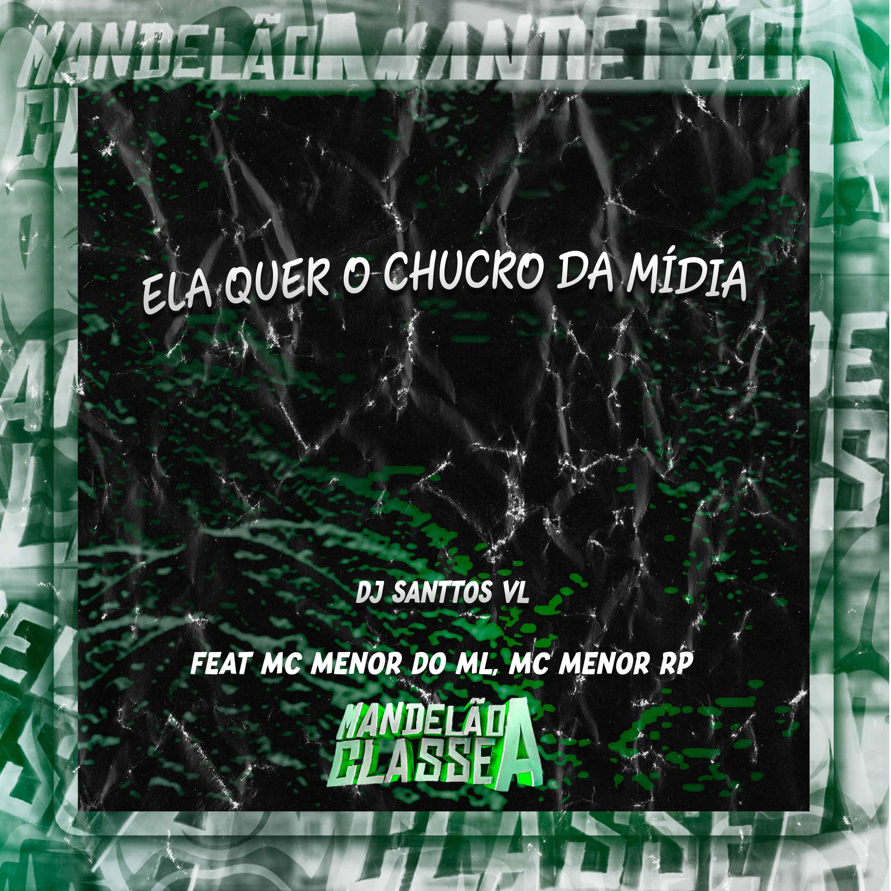 Постер альбома Ela Quer o Chucro da Mídia
