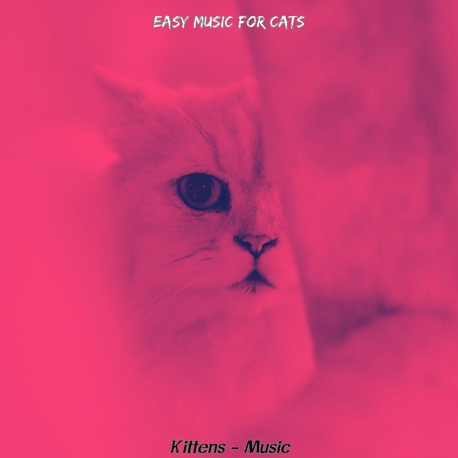 Постер альбома Kittens - Music