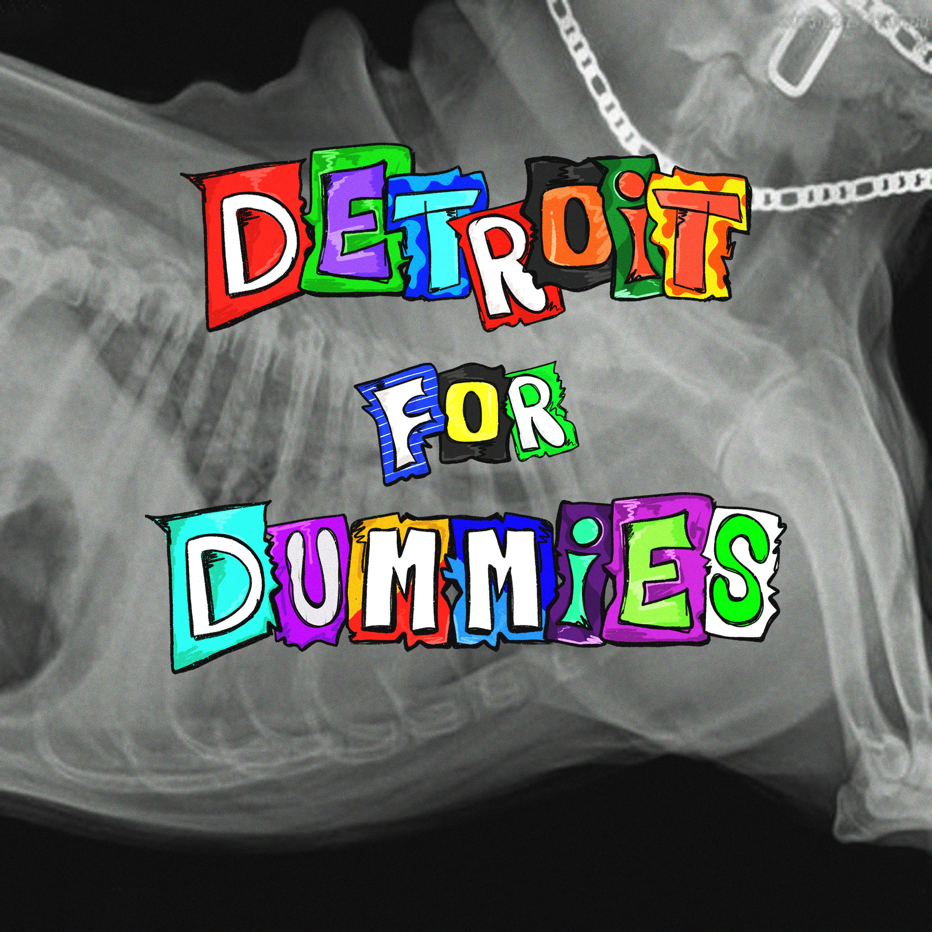 Постер альбома Detroit for Dummies