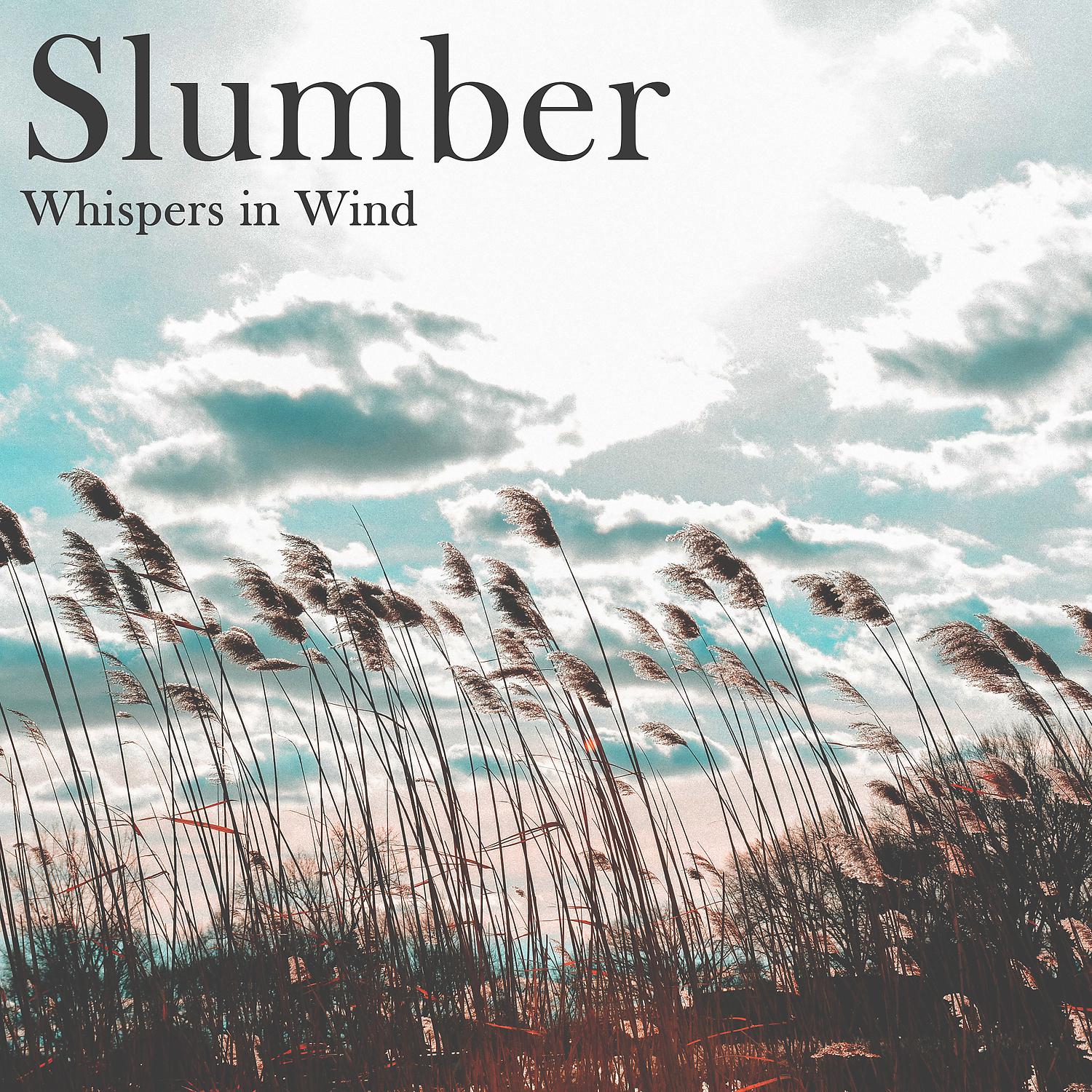 Постер альбома Slumber: Whispers in Wind - Nature Dreaming, Calm Zen, Feeling of Rain, Instant Peace Meditation, Music for Deep Sleep, Distress, Sleepy Drops