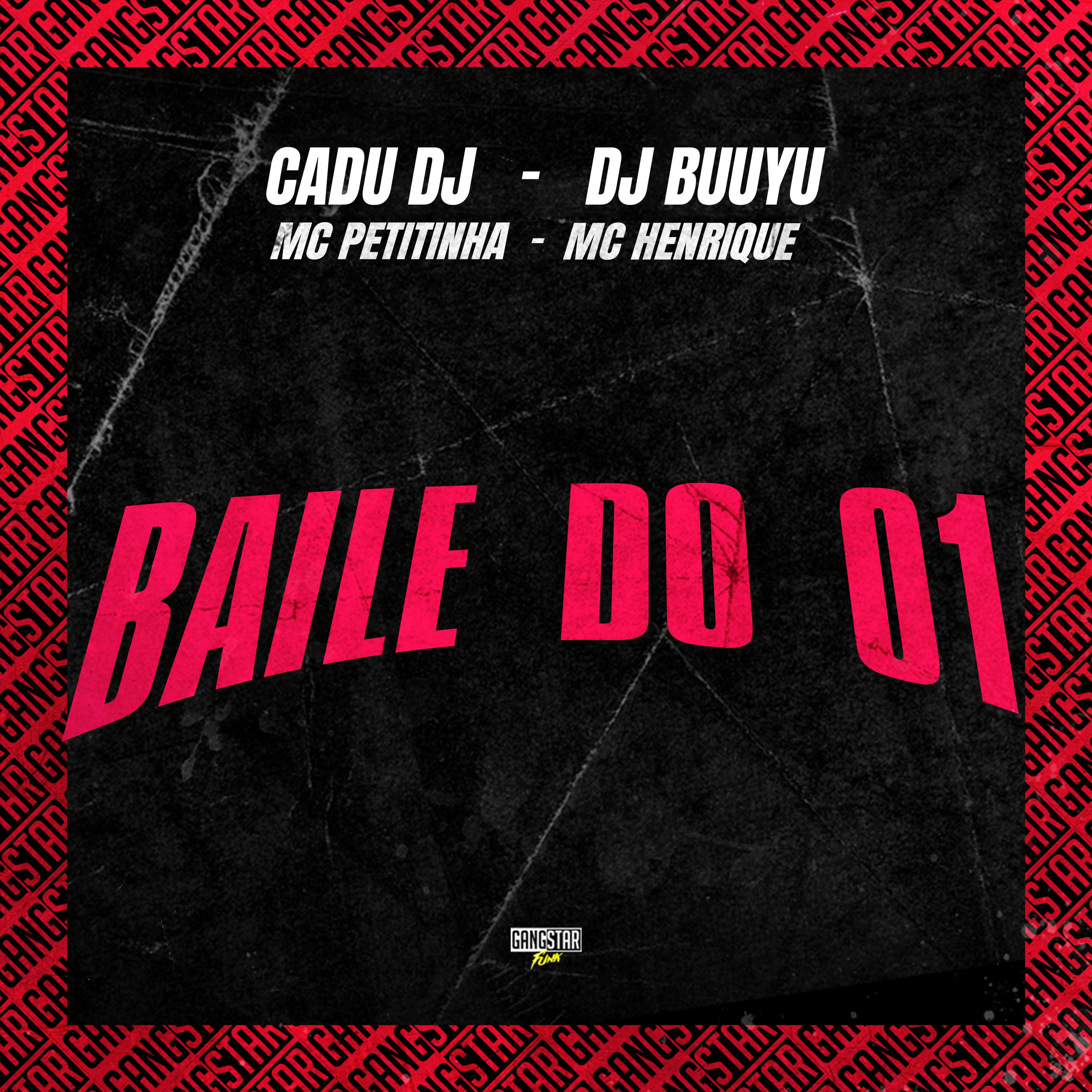 Постер альбома Baile do 01