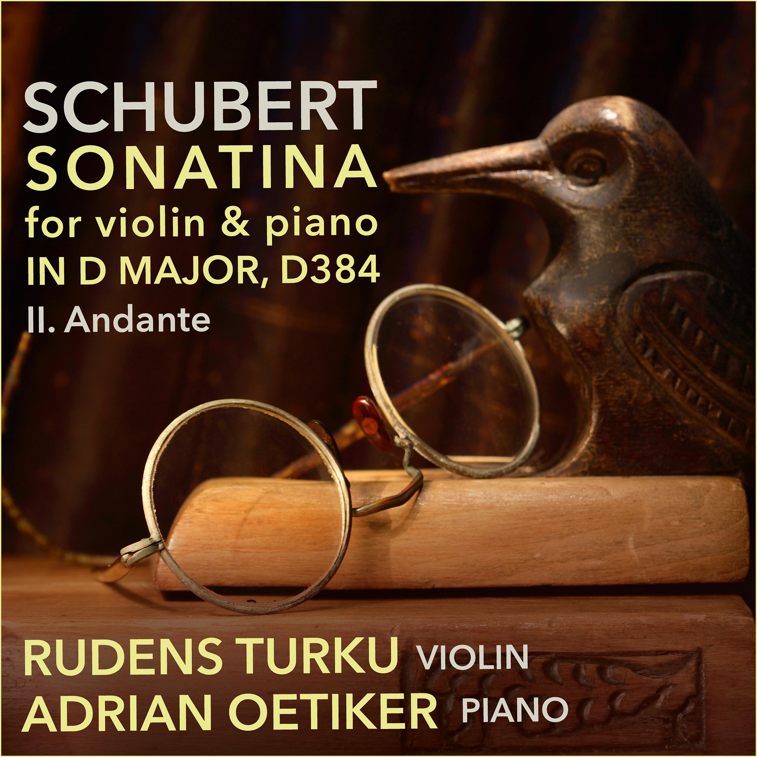 Постер альбома Violin Sonata (Sonatina) in D Major, D. 384, Op. 137/No. 1: II. Andante