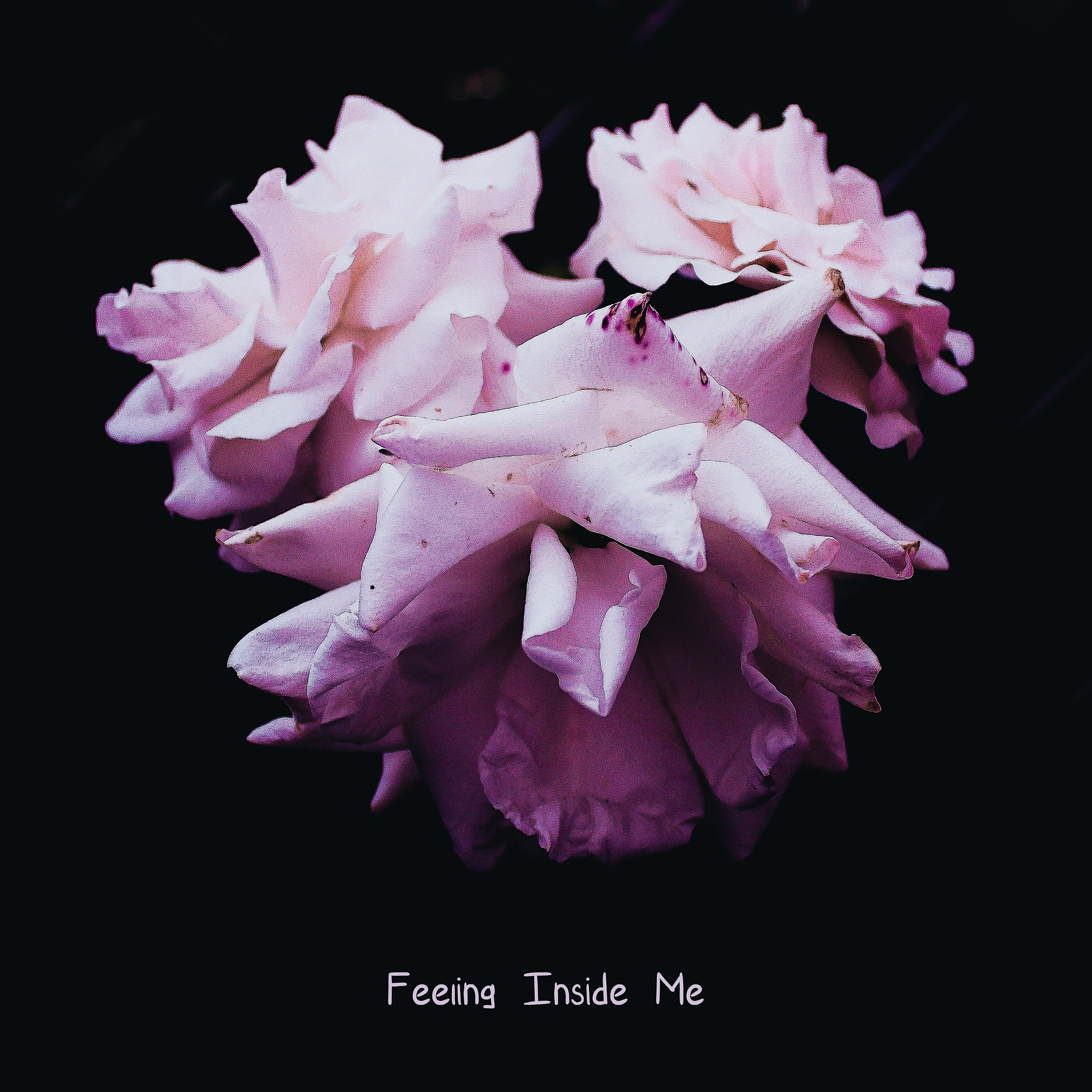 Постер альбома Feeling Inside Me