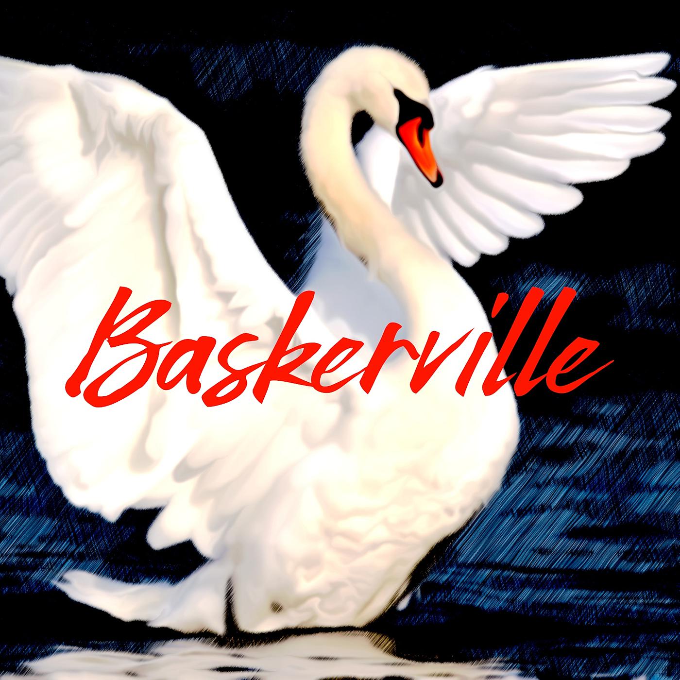 Постер альбома Baskerville