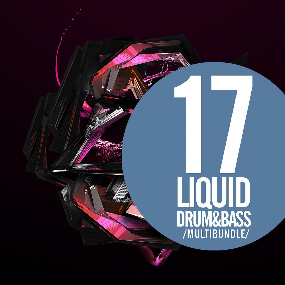 Постер альбома 17 Liquid Drum & Bass Multibundle