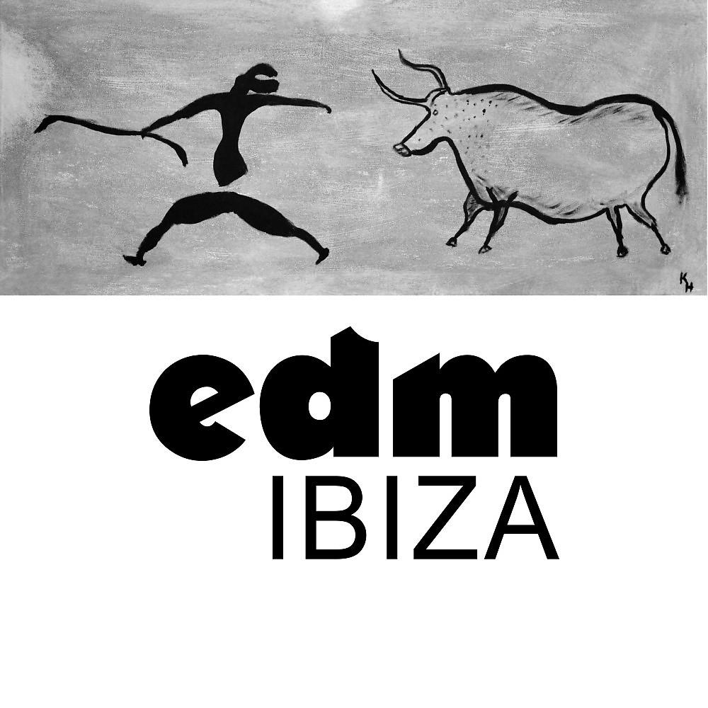 Постер альбома EDM: Ibiza