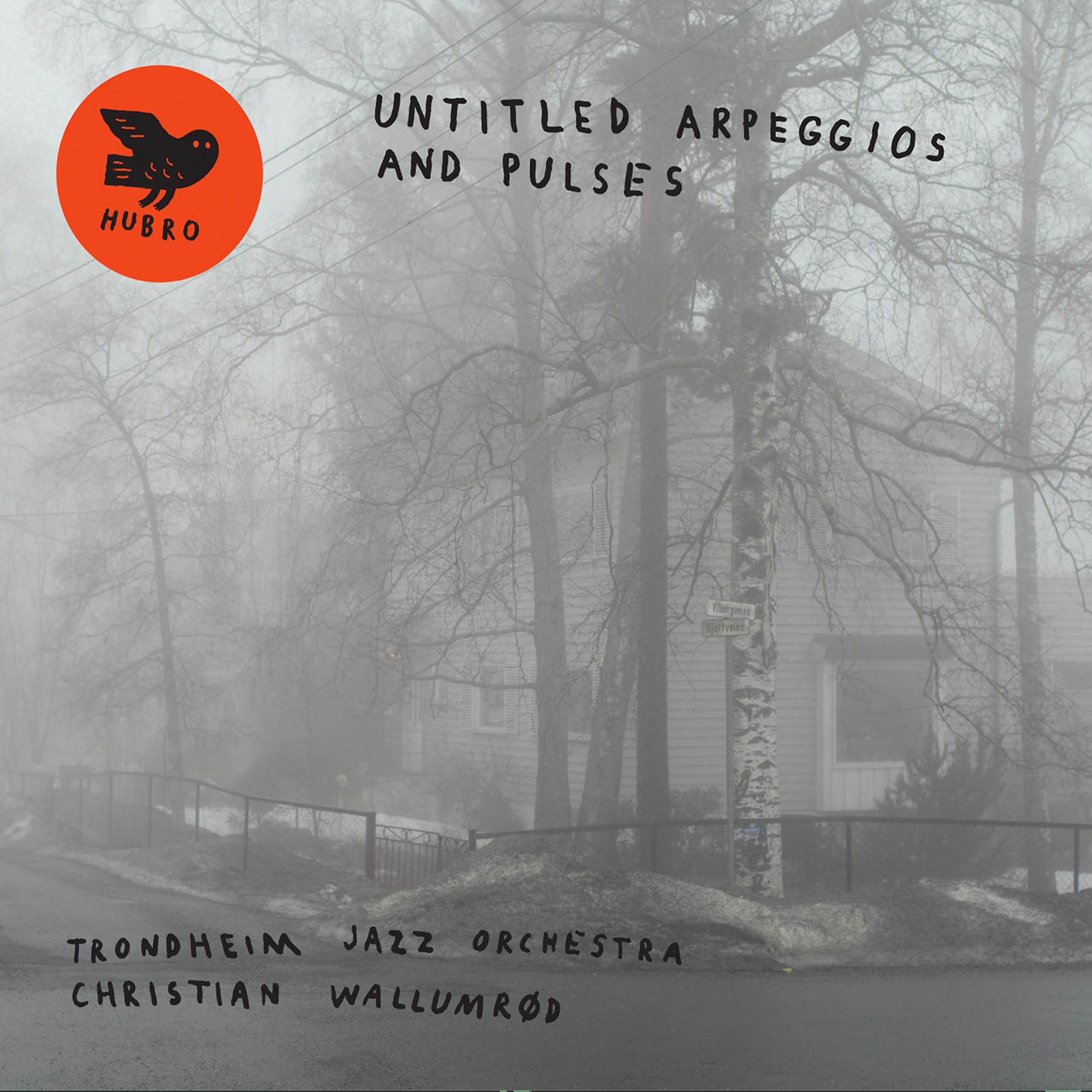 Постер альбома Untitled Arpeggios and Pulses