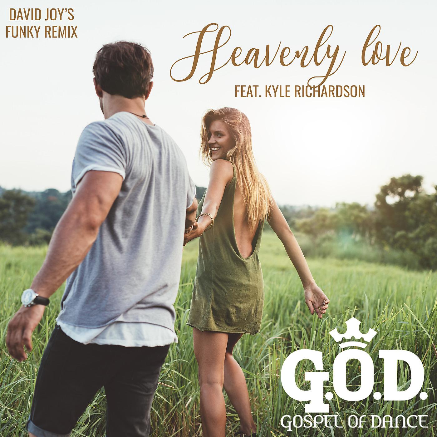 Постер альбома Heavenly Love (David Joy's Funky Remix)