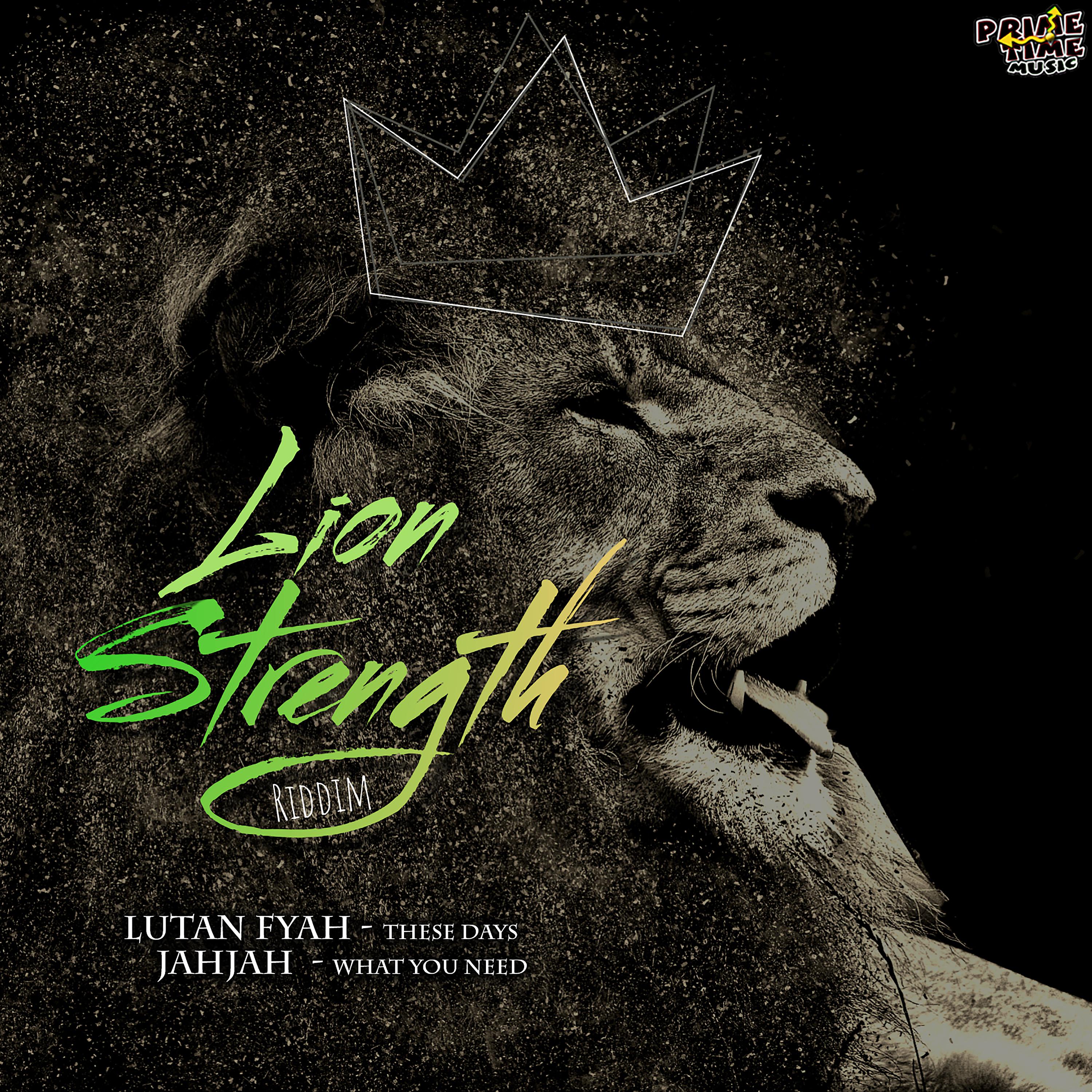 Постер альбома Lion Strength Riddim