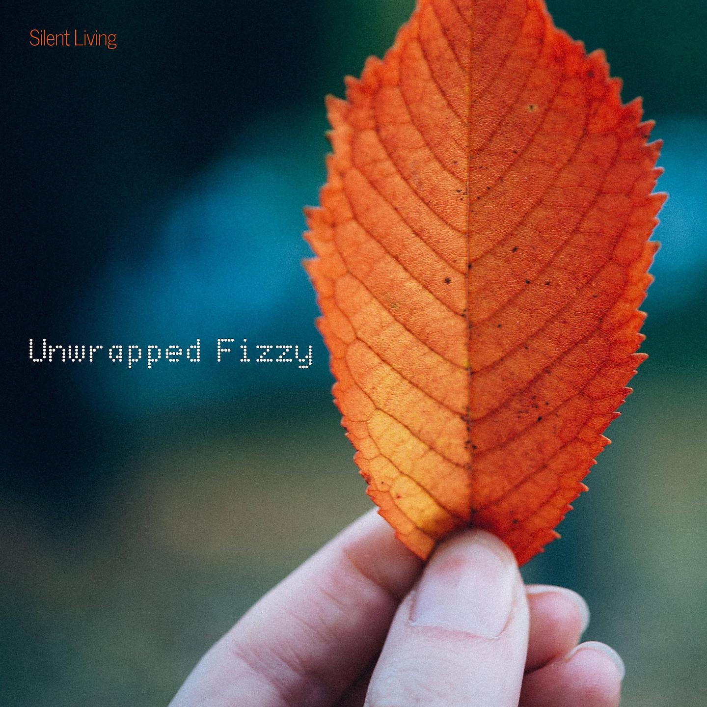 Постер альбома Unwrapped Fizzy