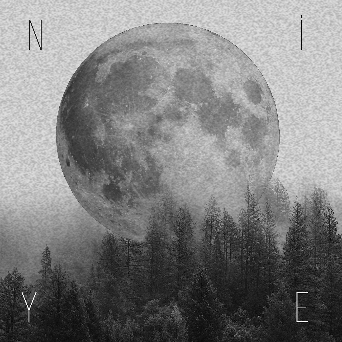 Постер альбома Niye