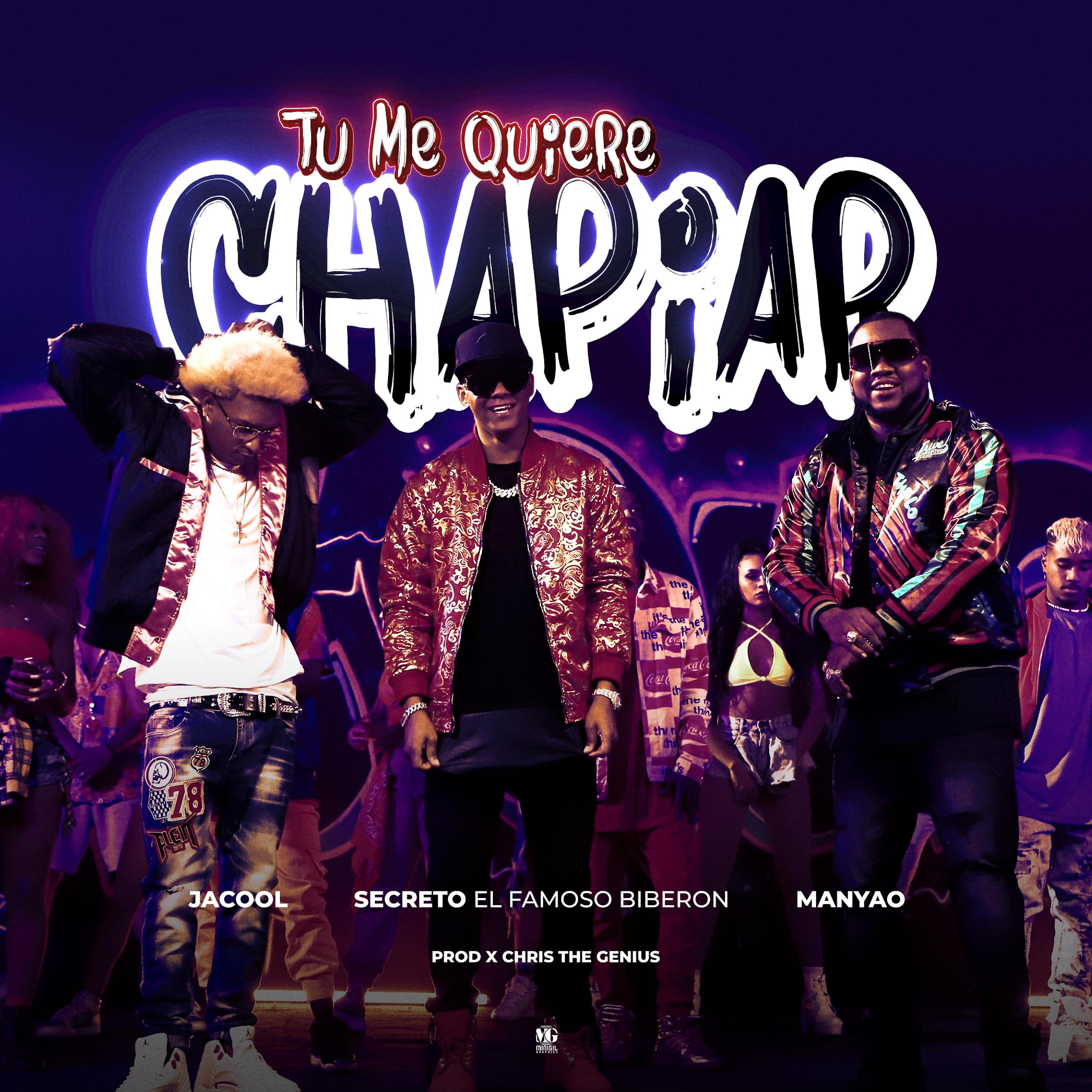Постер альбома Tu Me Quiere Chapiar