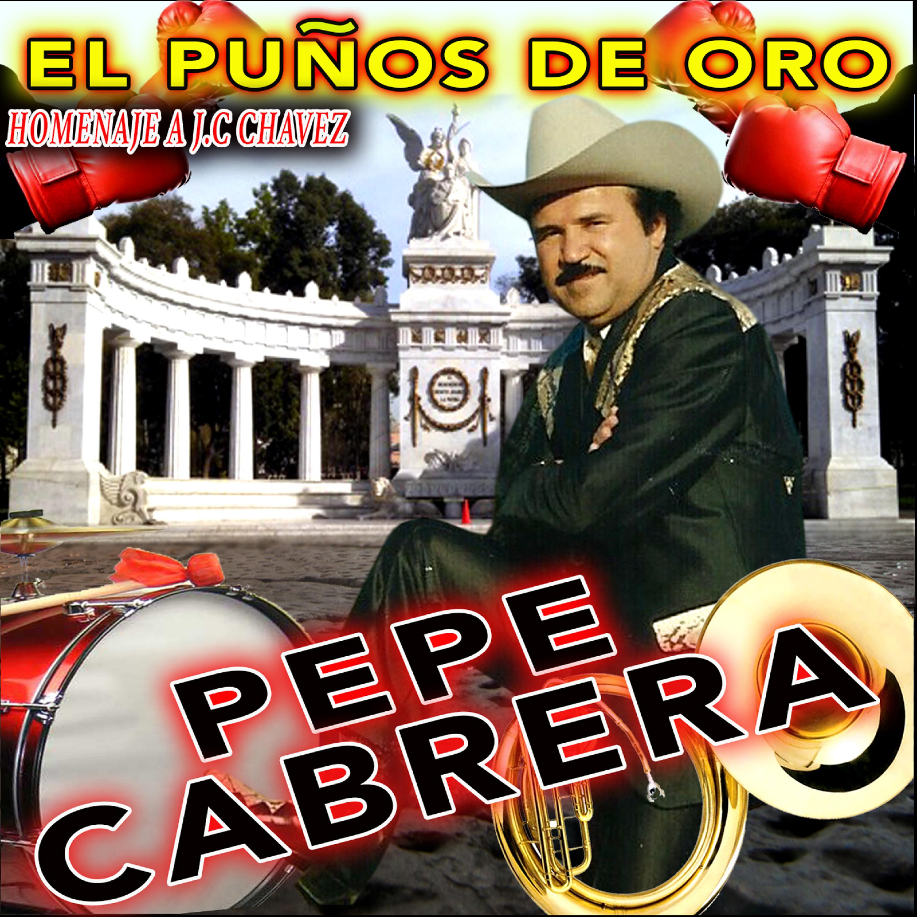 Постер альбома El Puños de Oro