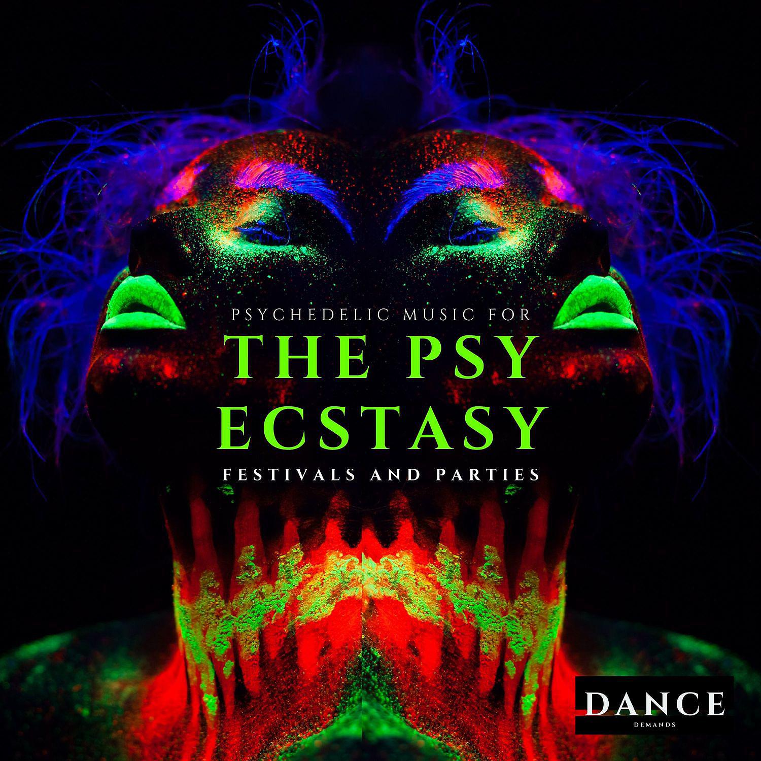 Постер альбома The Psy Ecstasy - Psychedelic Music for Festivals and Parties