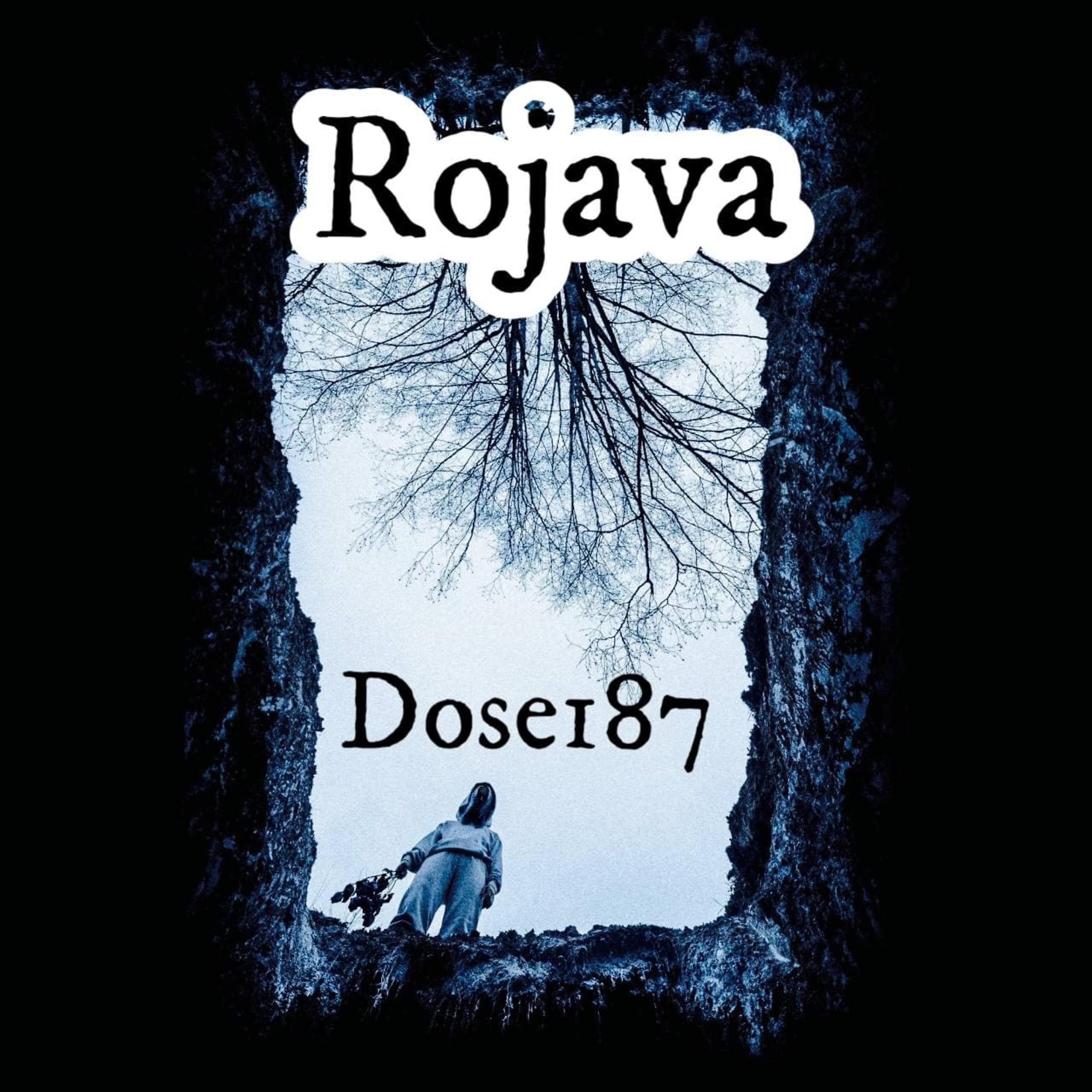 Постер альбома Rojava