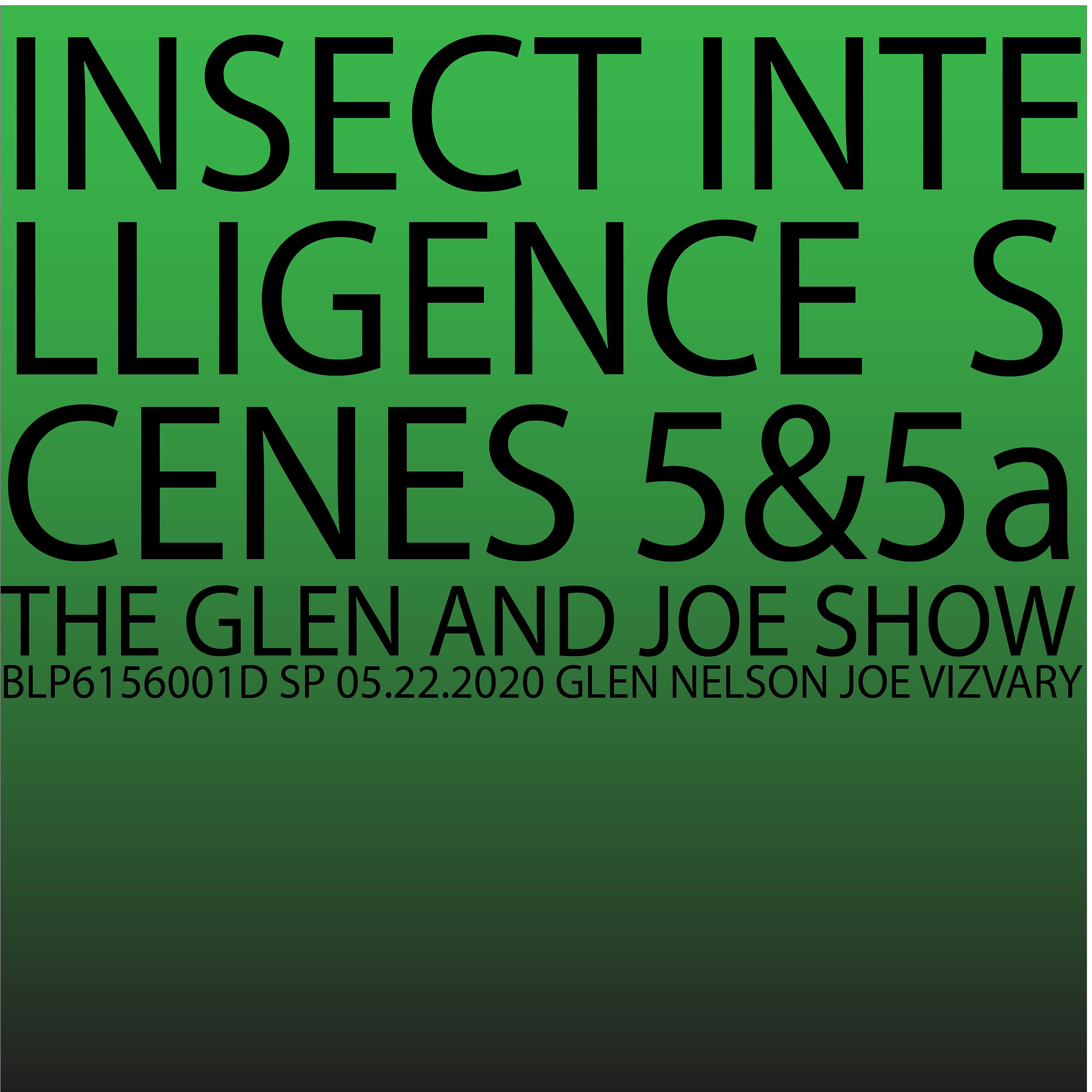 Постер альбома Insect Intelligence