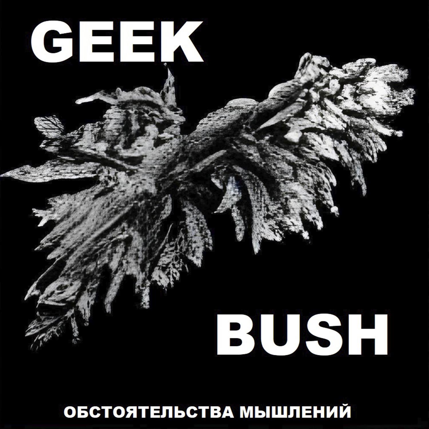 Постер альбома GEEK BUSH