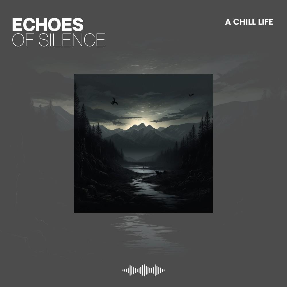 Постер альбома Echoes of Silence