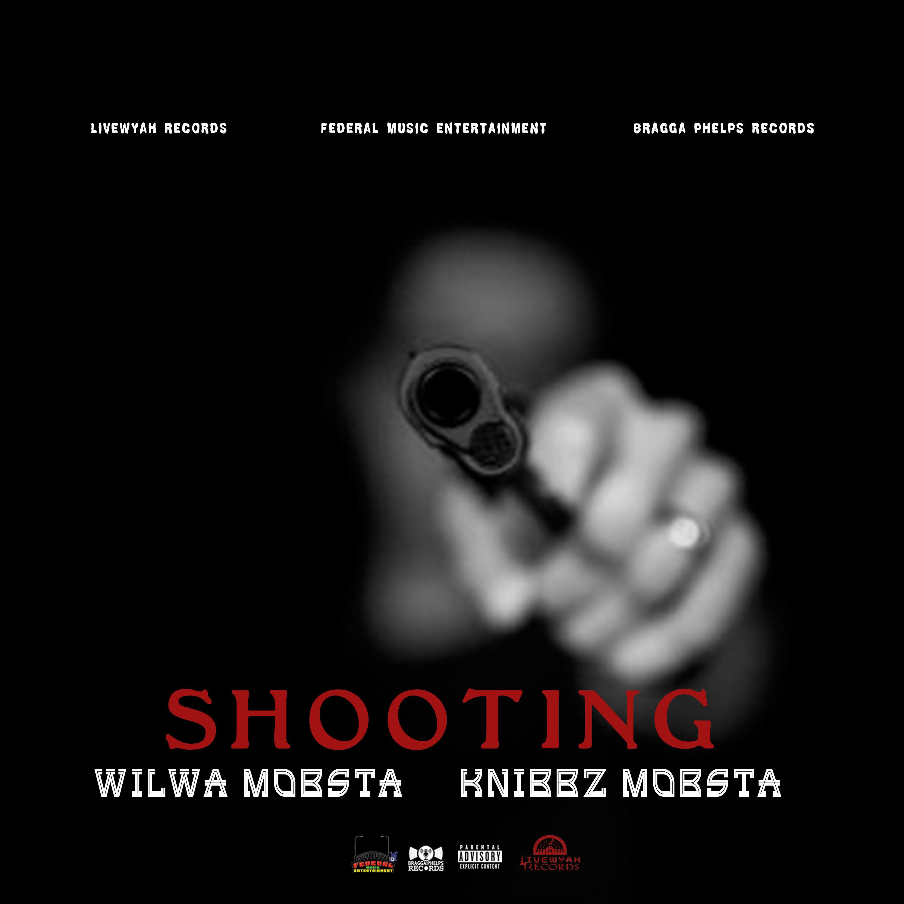 Постер альбома Shooting