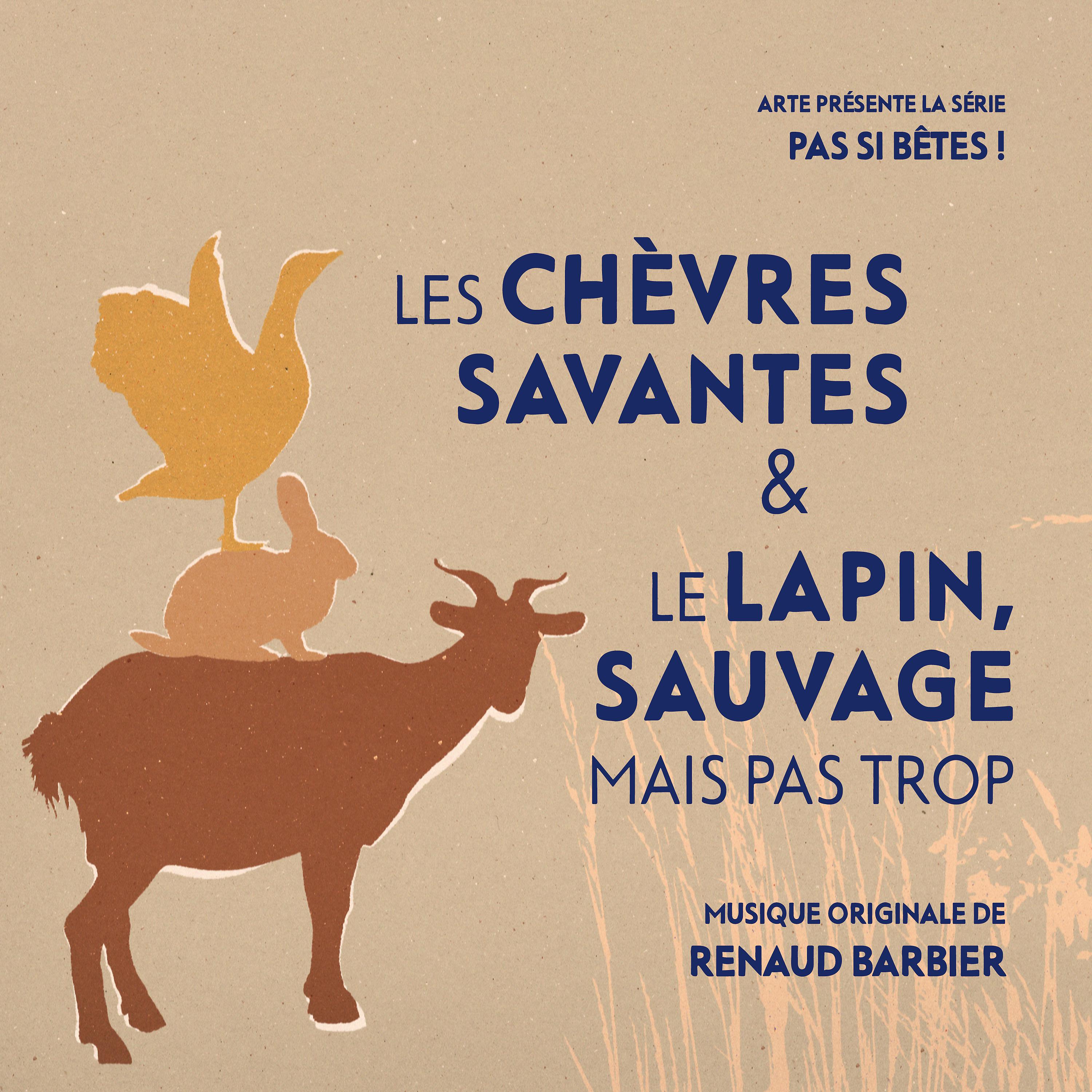 Постер альбома Pas si bêtes ! - Les chèvres savantes & Le lapin, sauvage mais pas trop (Bande originale de la série télévisée)
