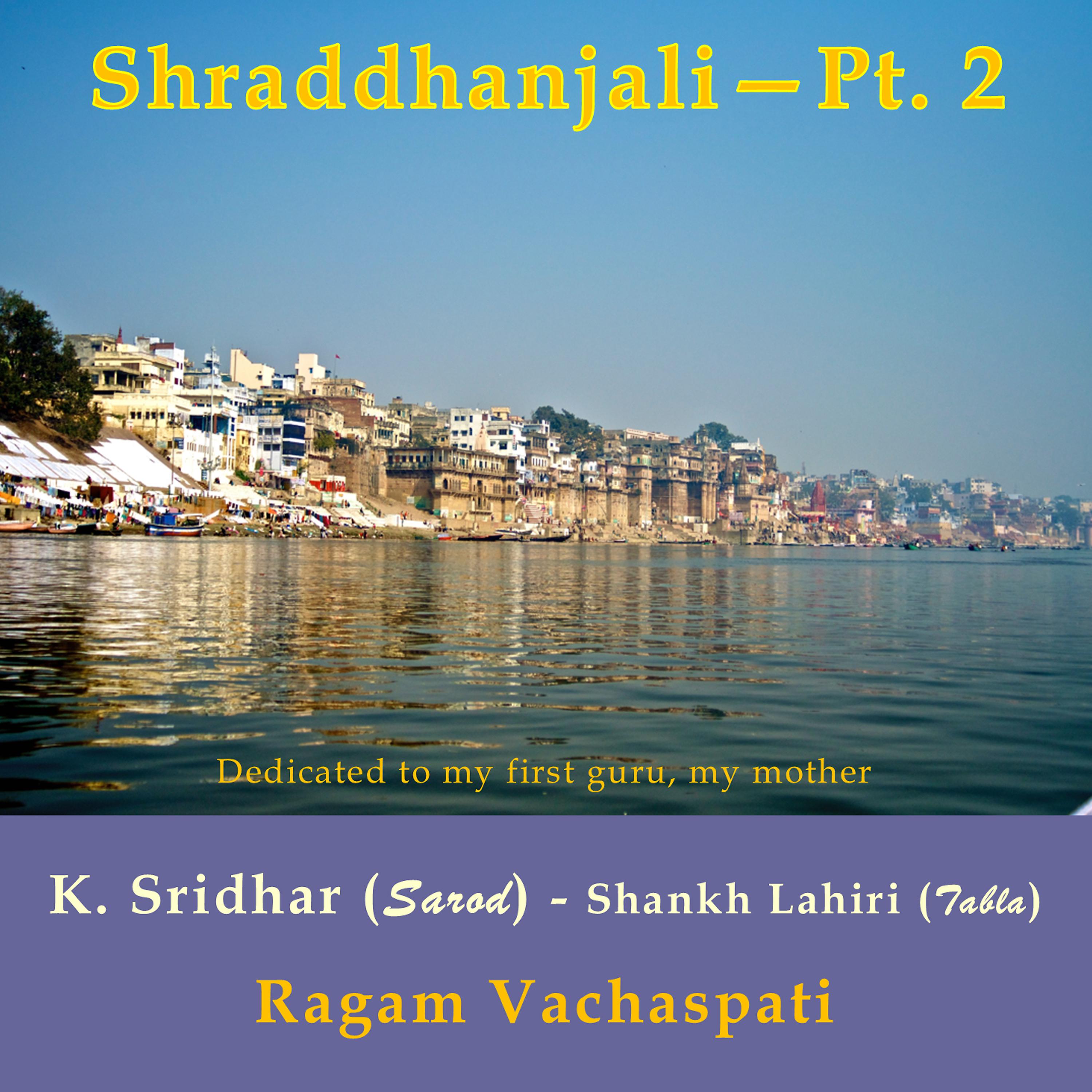 Постер альбома Shraddhanjali, Pt. 2 (Ragam Vachaspati)