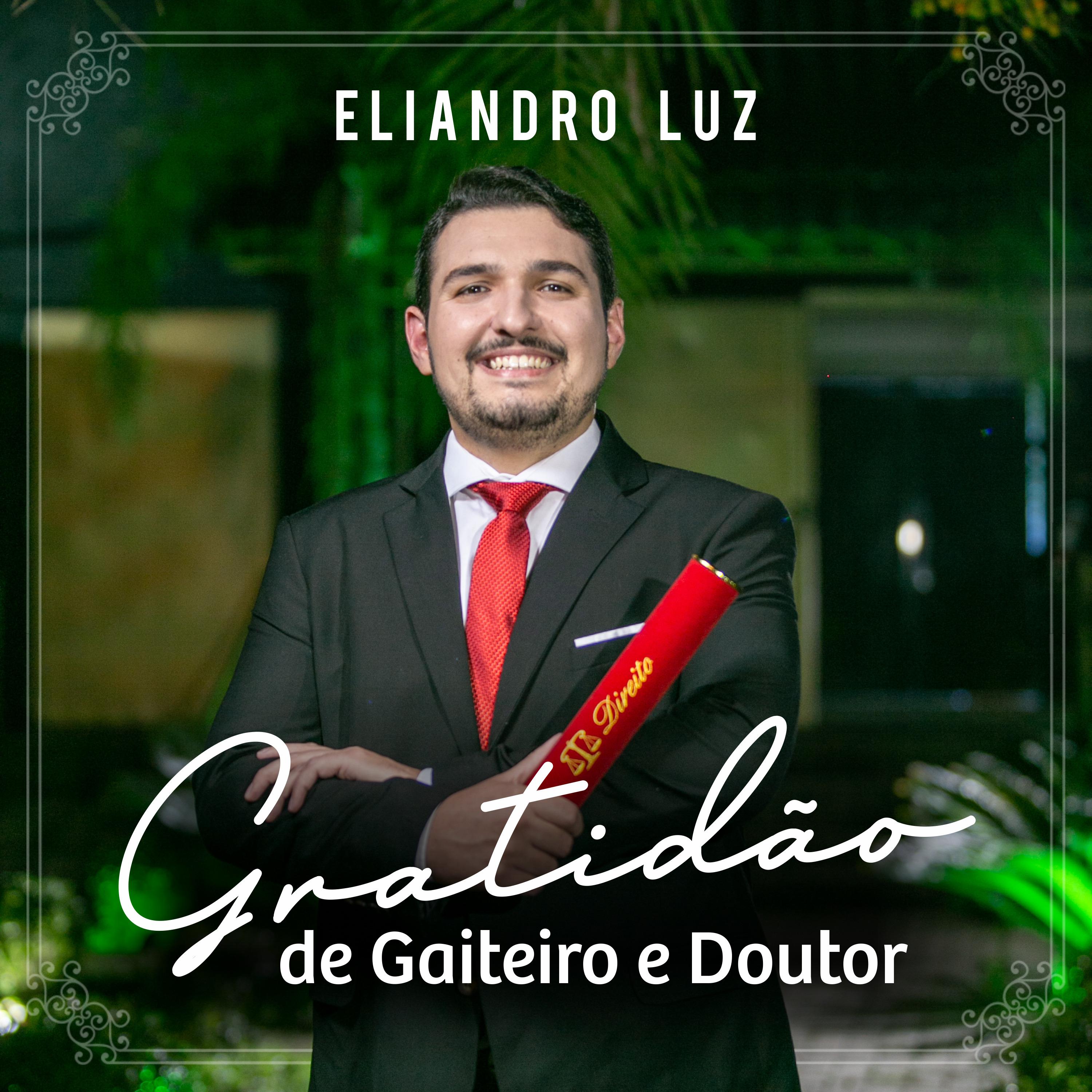 Постер альбома Gratidão de Gaiteiro e Doutor