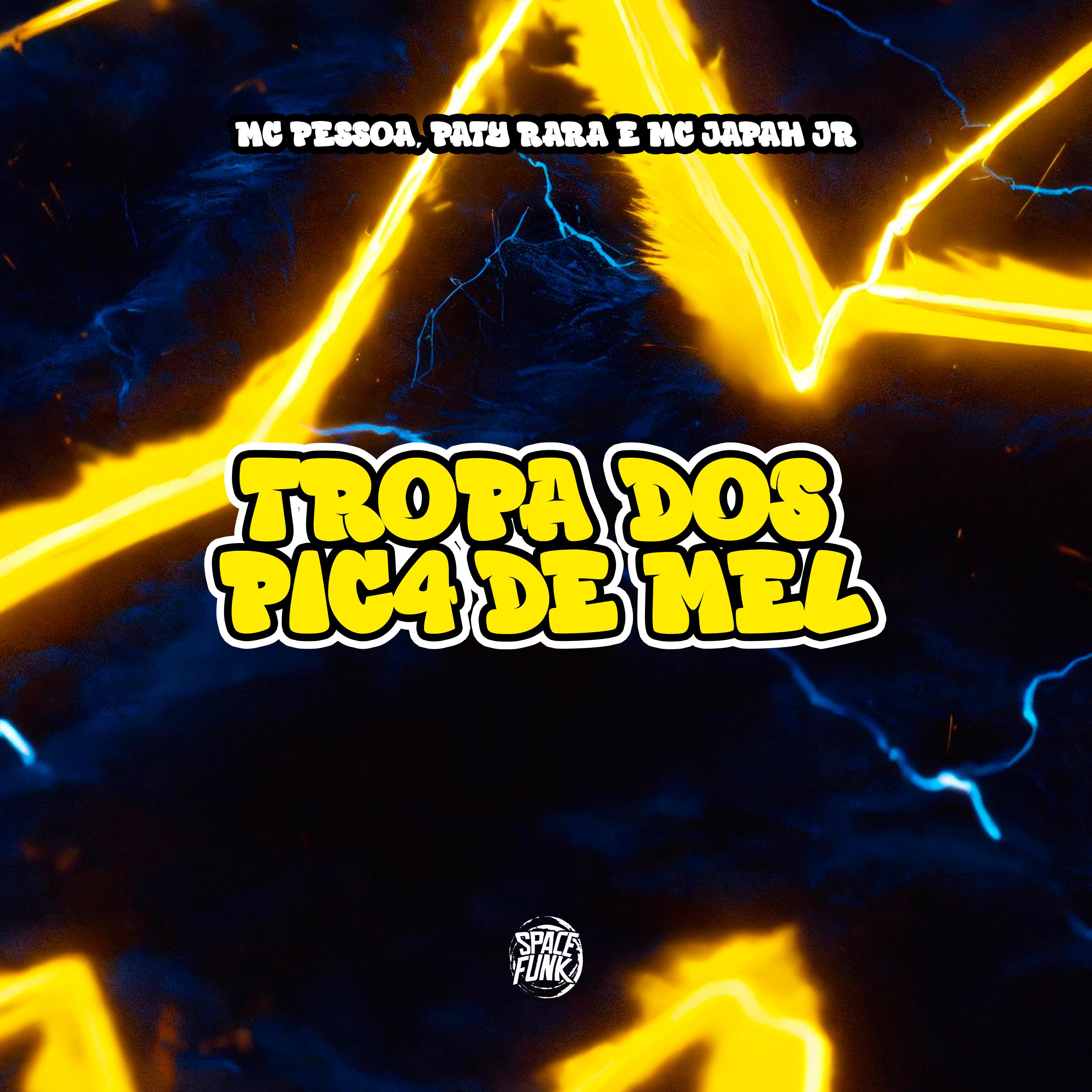 Постер альбома Tropa dos Pic4 de Mel