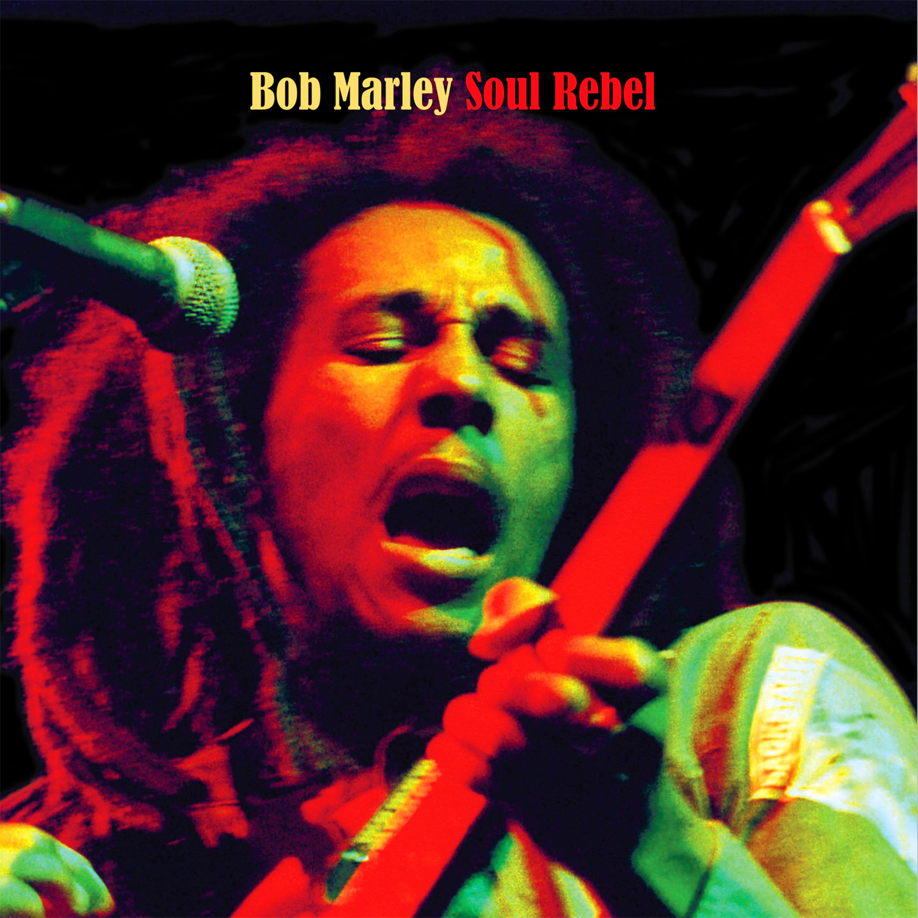 Постер альбома Soul Rebel