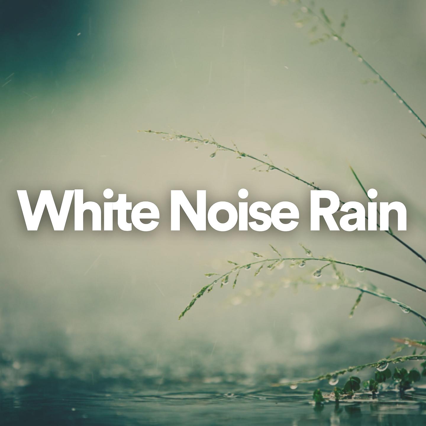 Постер альбома White Noise Rain